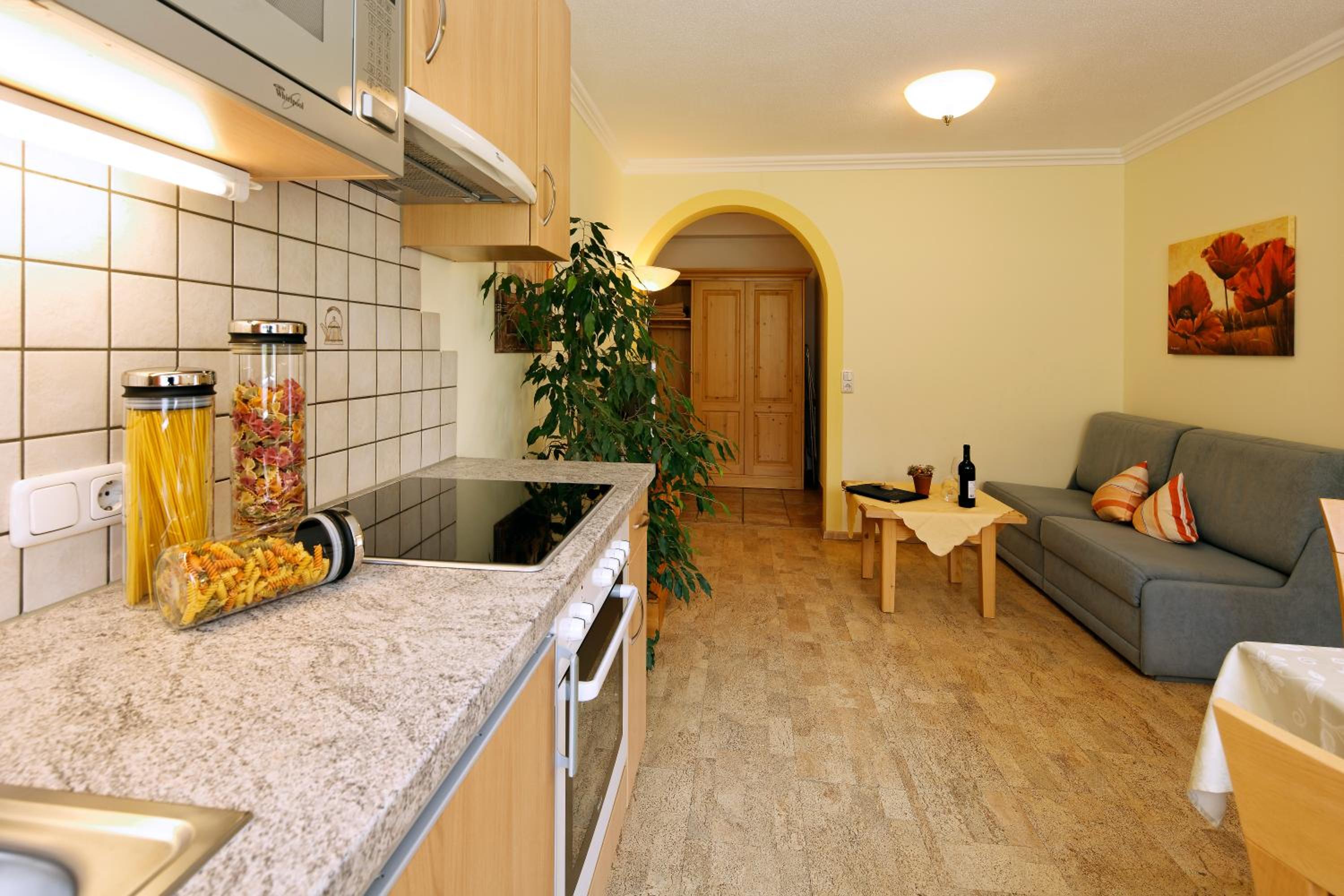 Large One-Bedroom Apartment photo 2