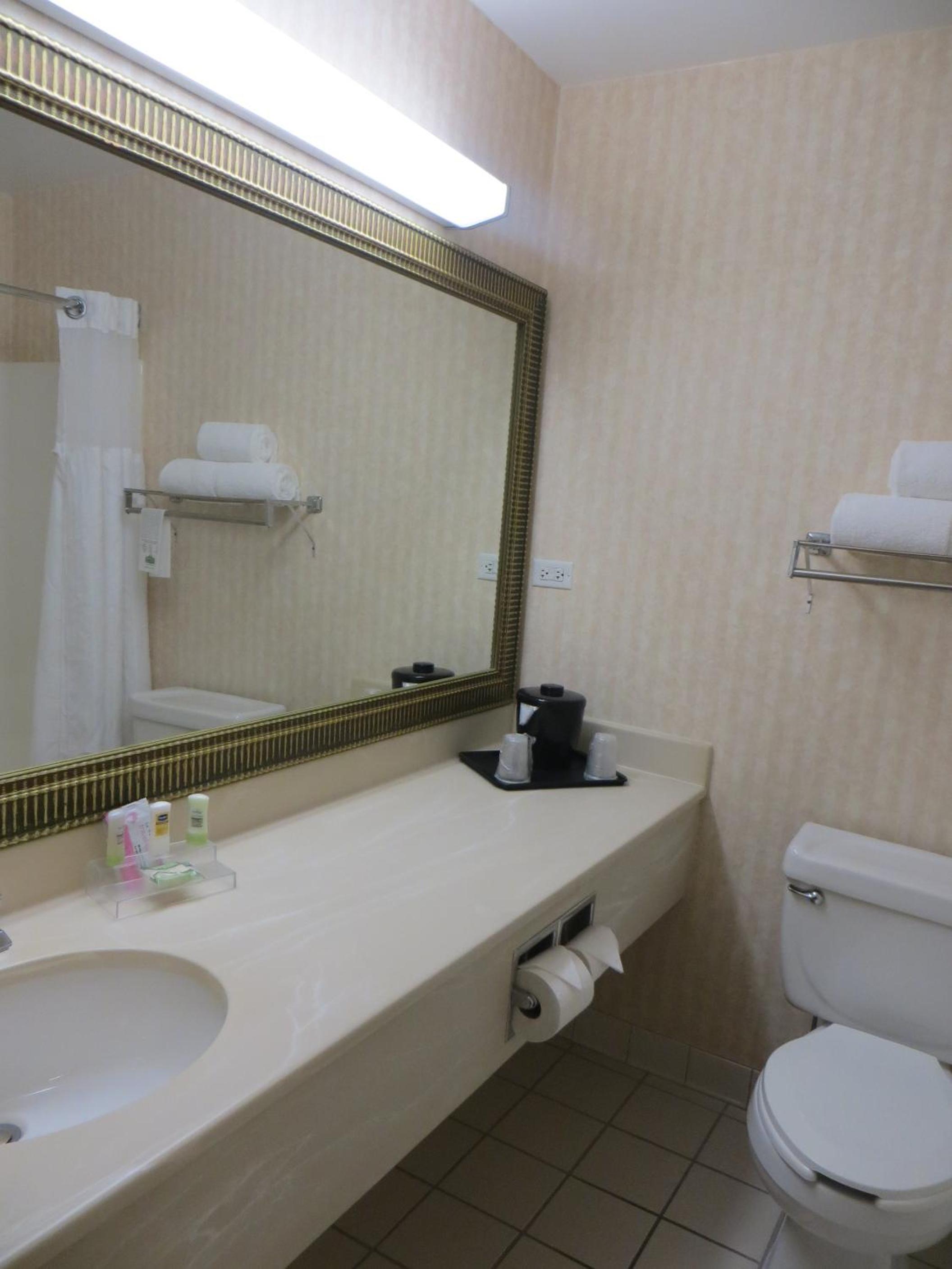 One-Bedroom King Suite photo 2