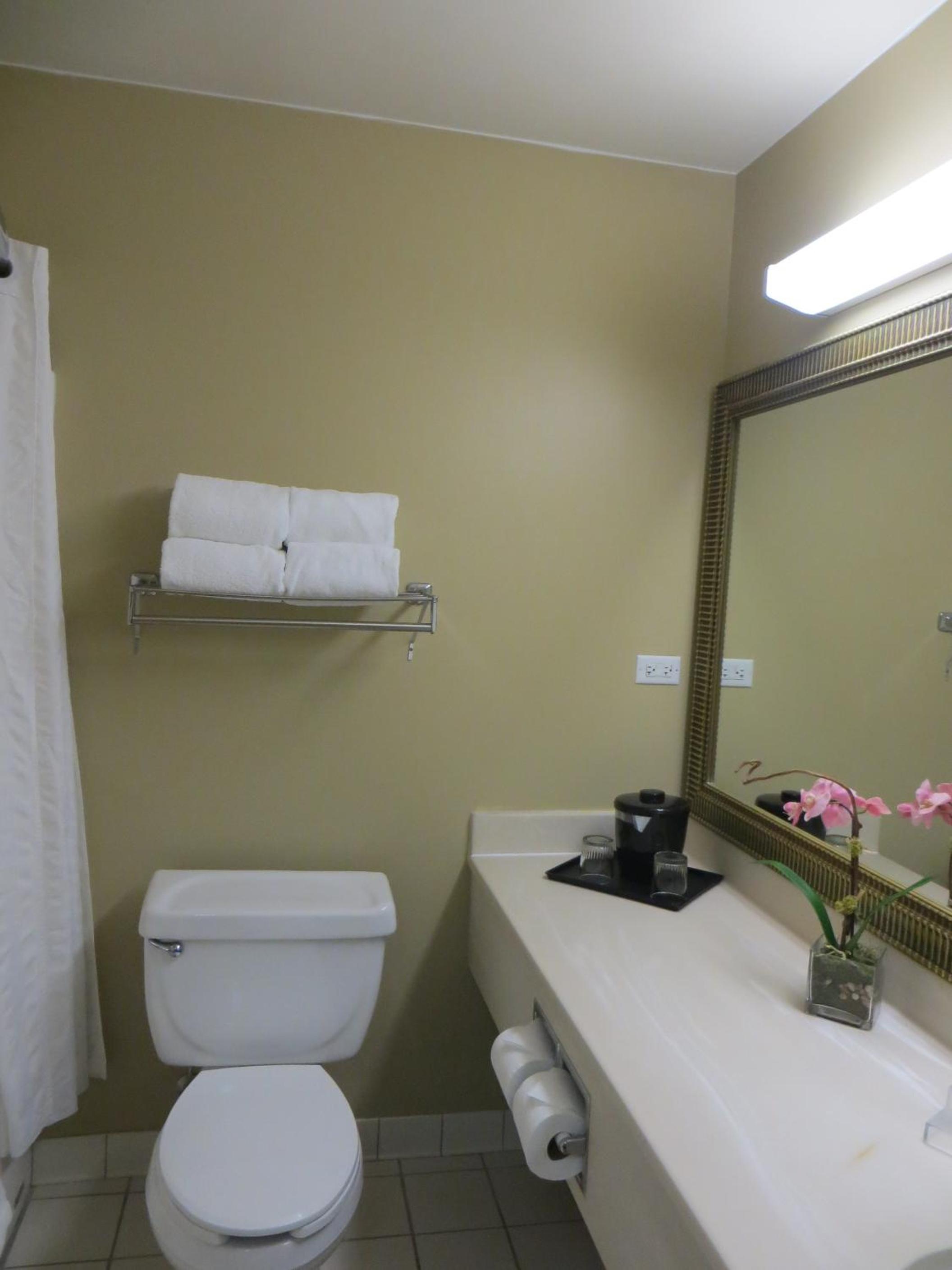 Queen Room with Two Queen Beds photo 2