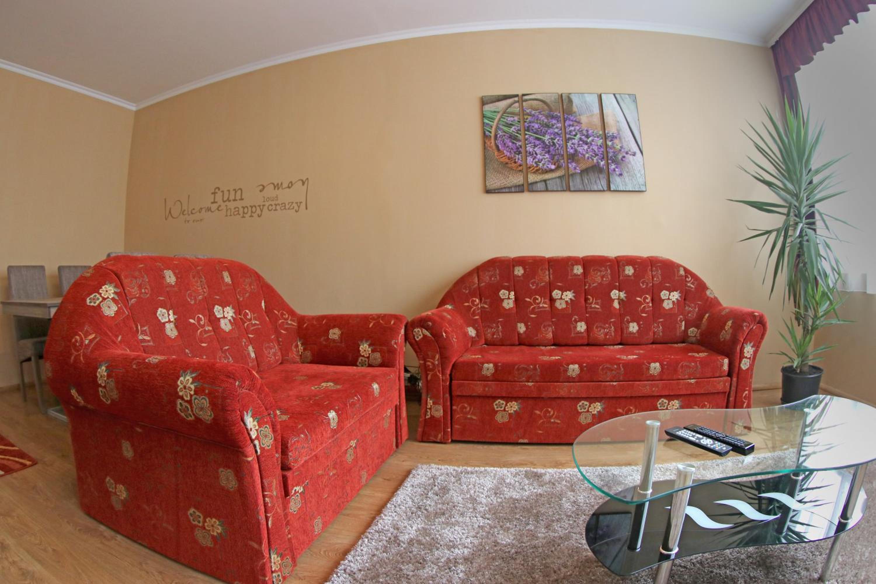 Apartment with Balcony photo 3