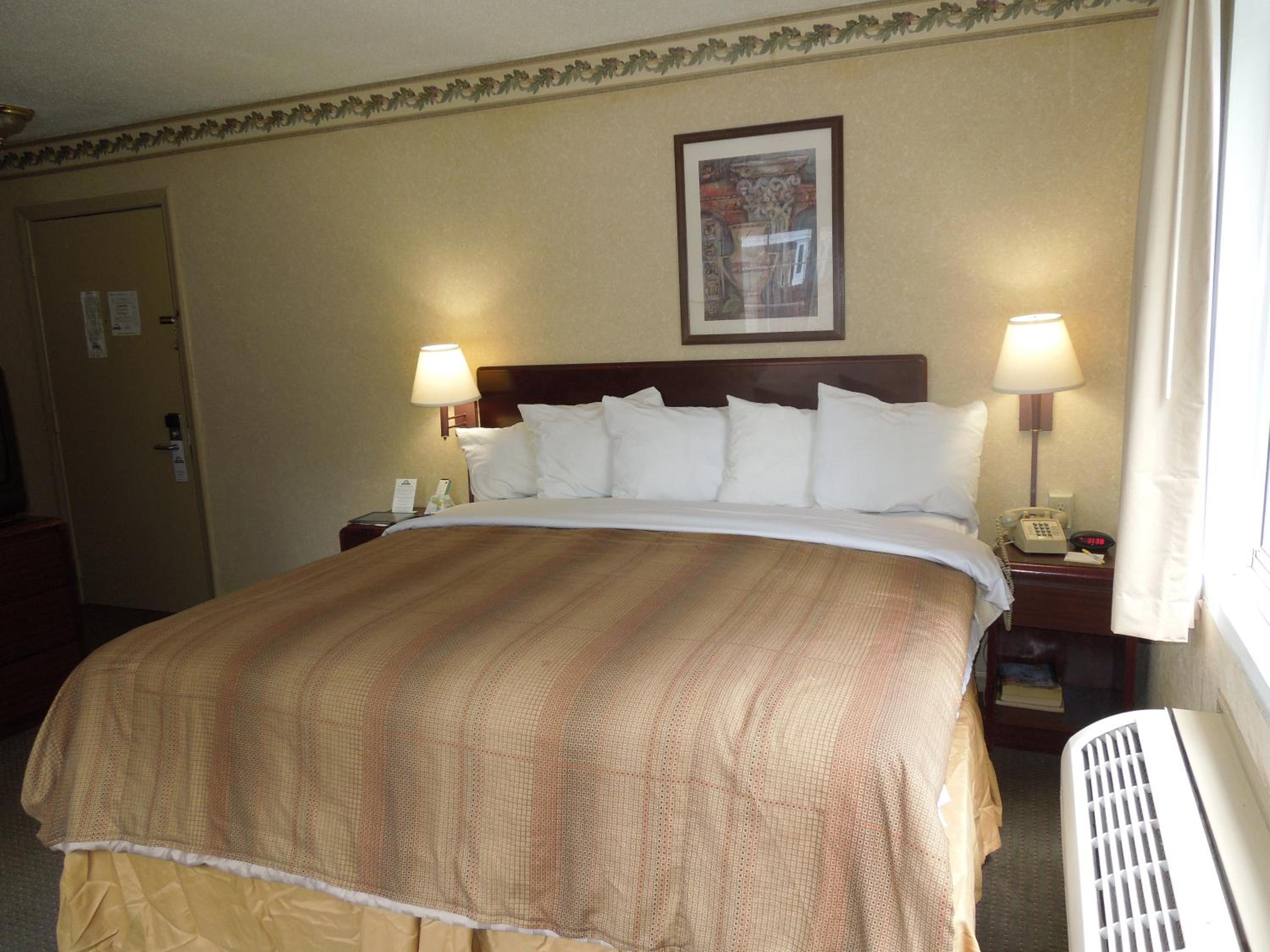 King Room - Non-Smoking - Photo 4