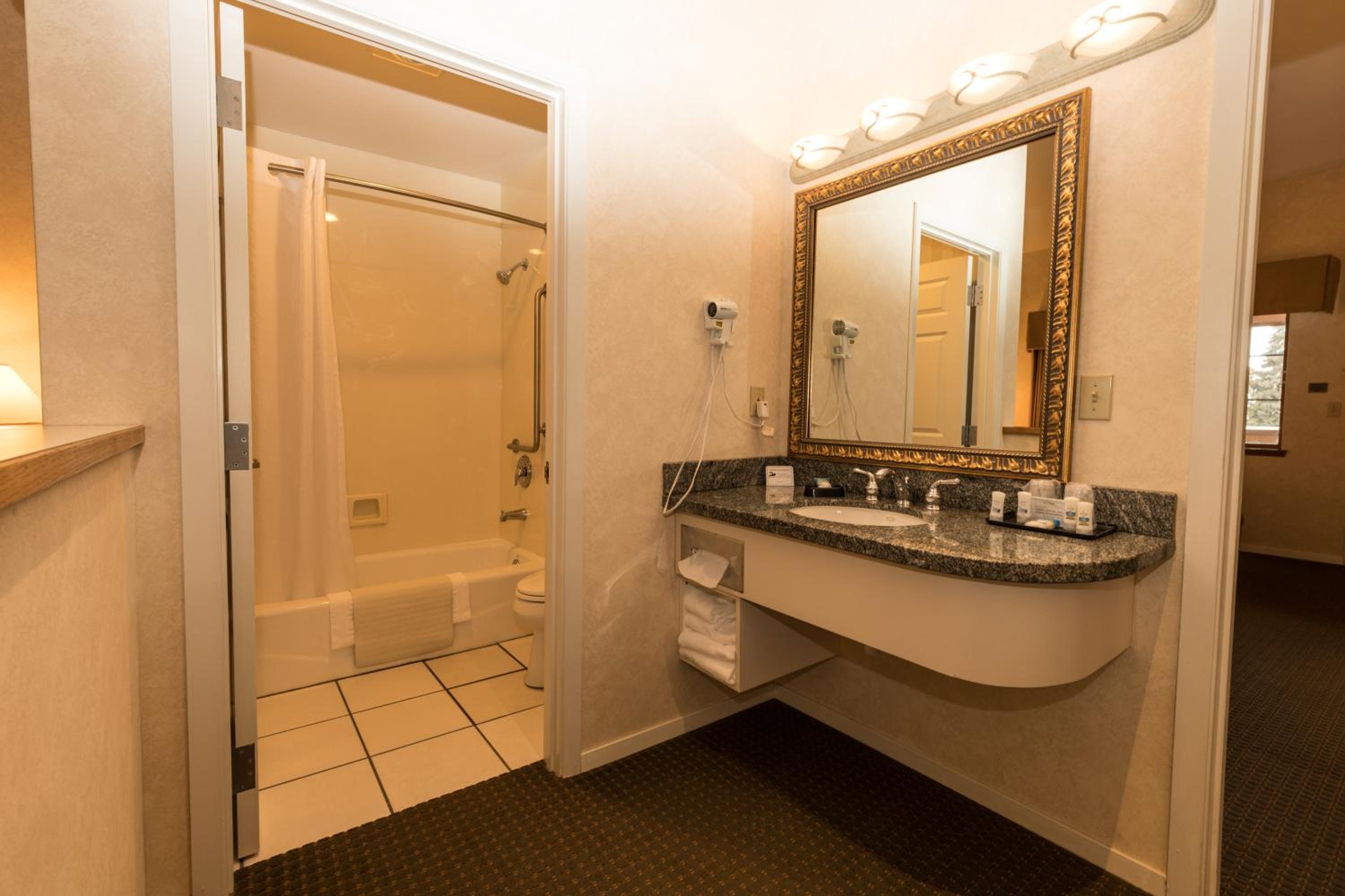 Deluxe King Suite photo 2