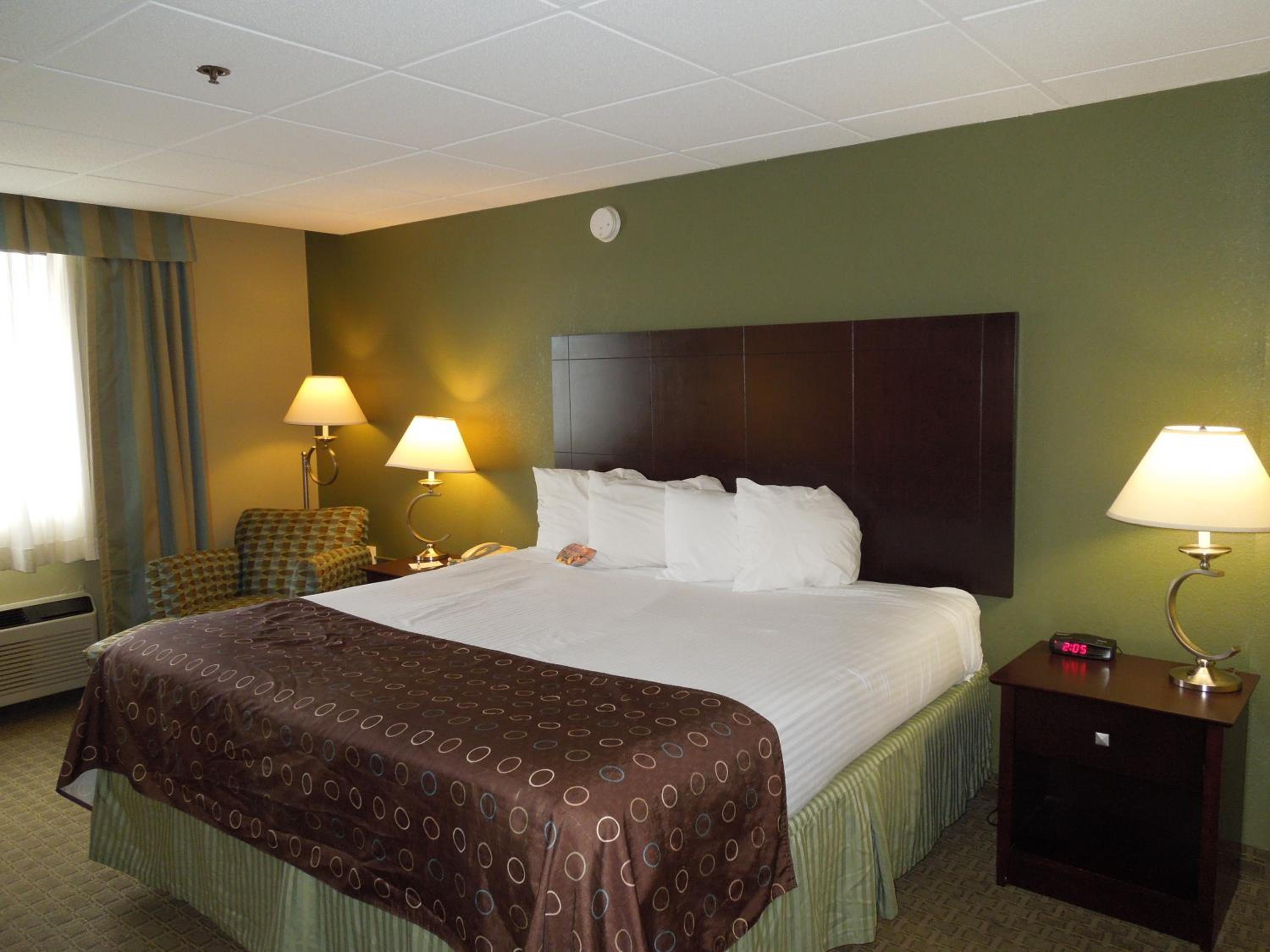 King Suite with Sofa Bed and Kitchenette - Non-Smoking - Photo 5