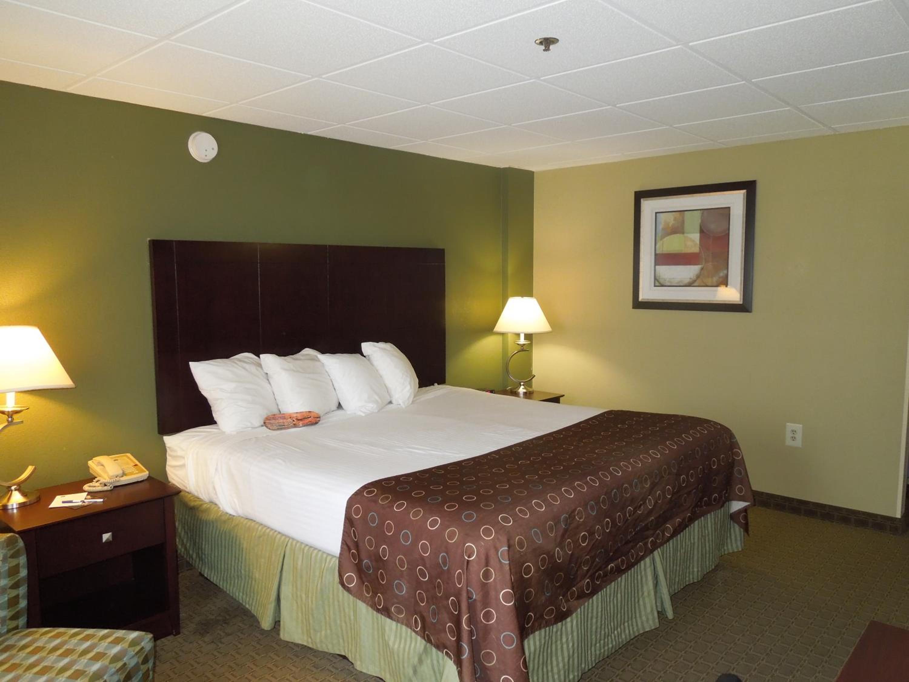 King Suite with Sofa Bed and Kitchenette - Non-Smoking - Photo 6