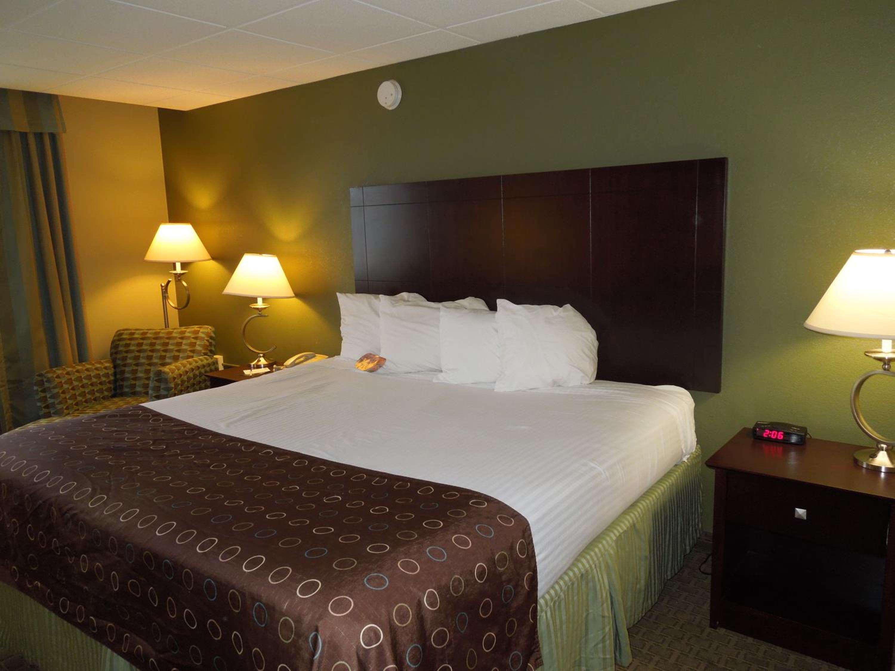 King Suite with Sofa Bed and Kitchenette - Non-Smoking - Photo 4