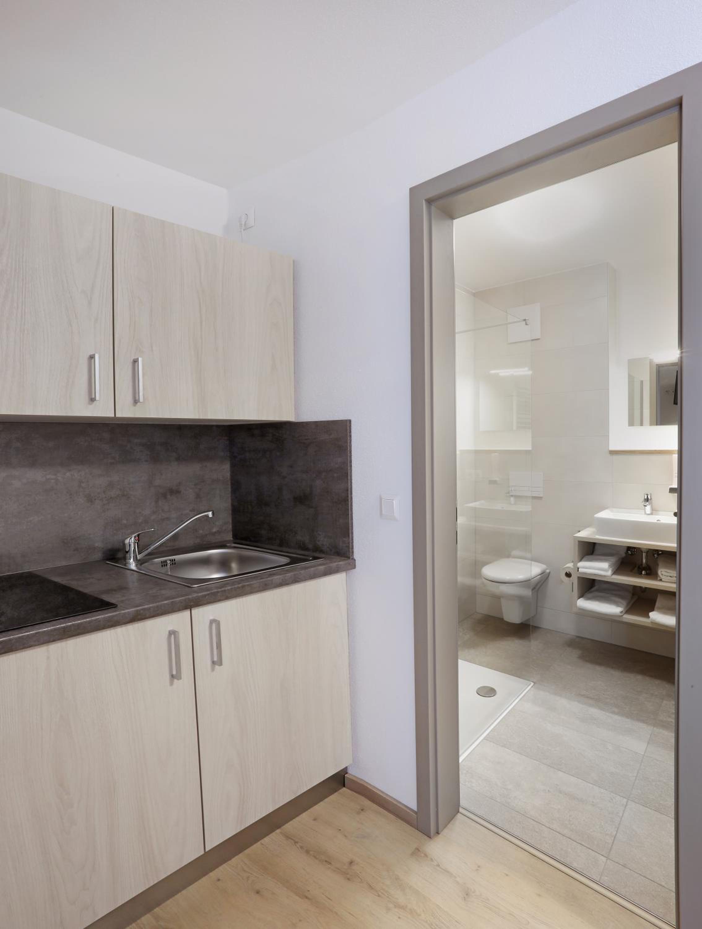 One-Bedroom Apartment, photo 7