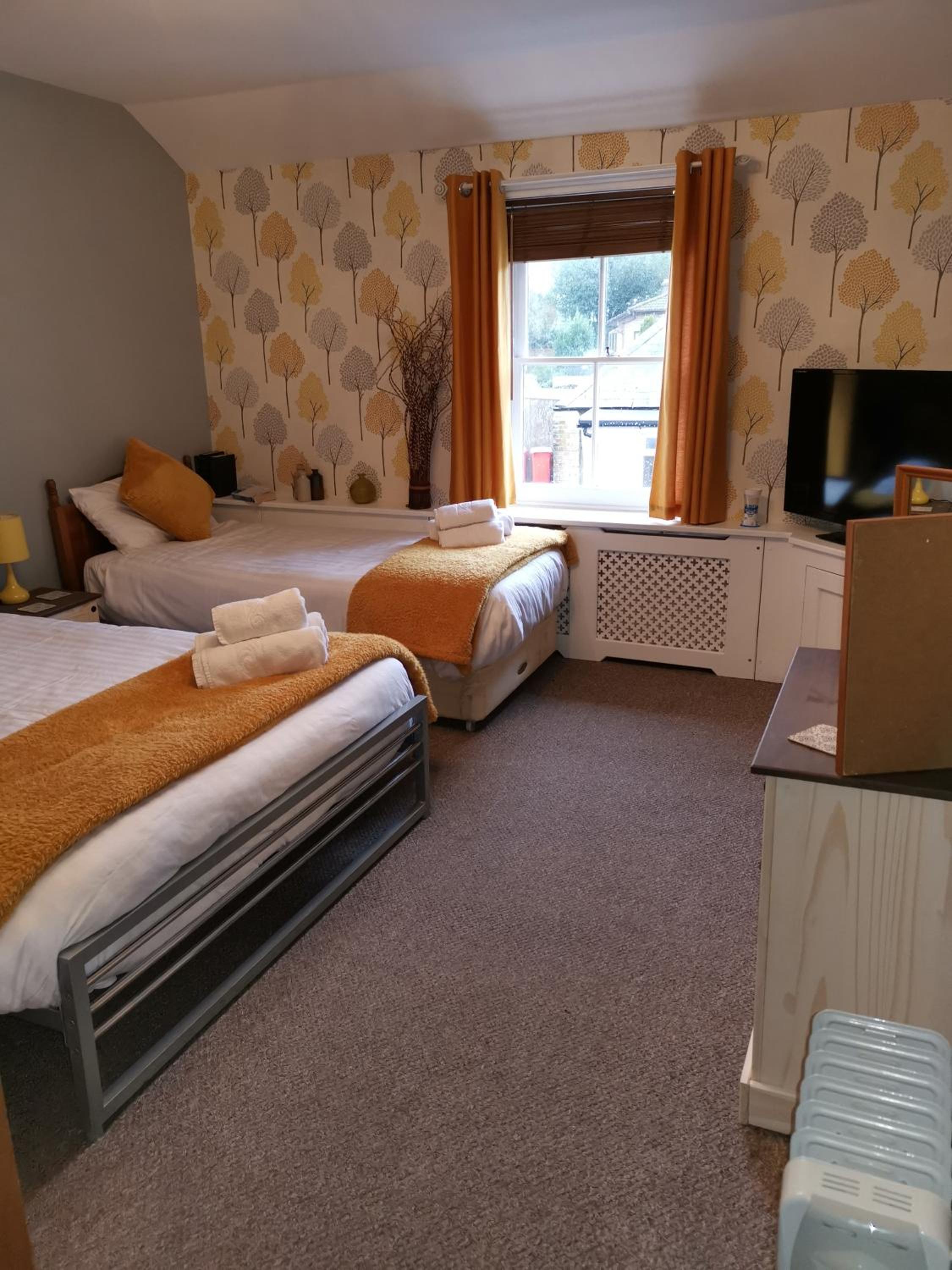 Family Suite photo 3