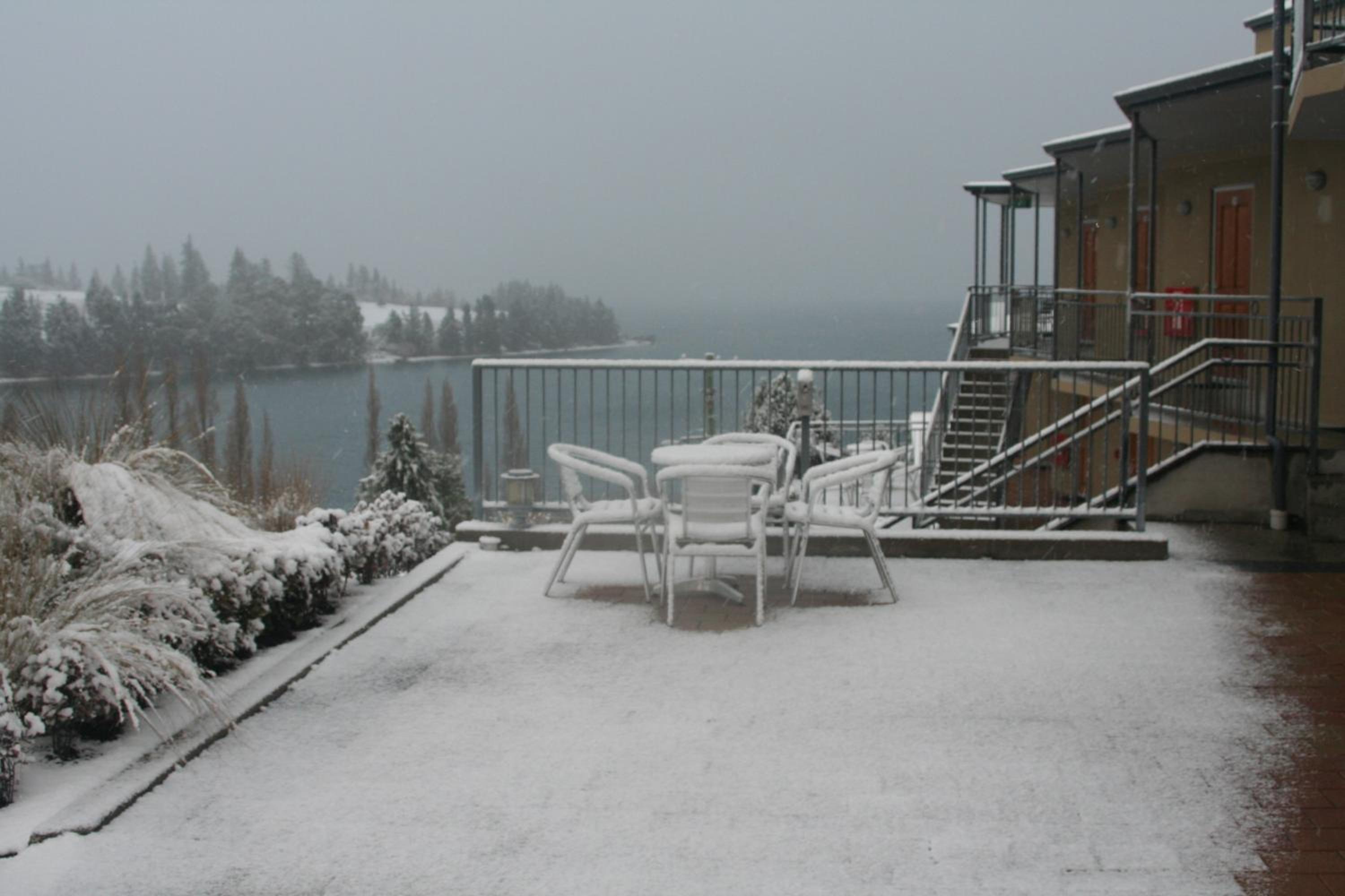 Small Studio with Lake View - Photo 2