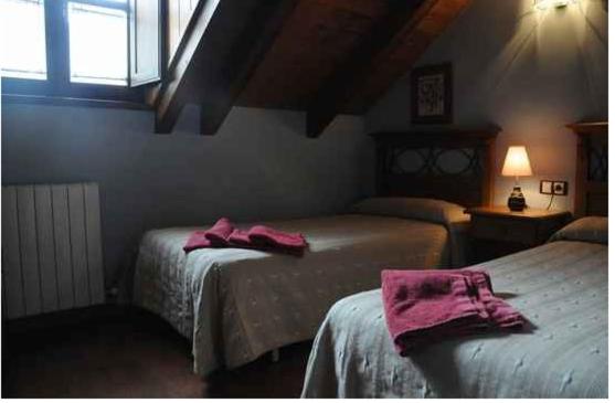 Twin Room photo 2