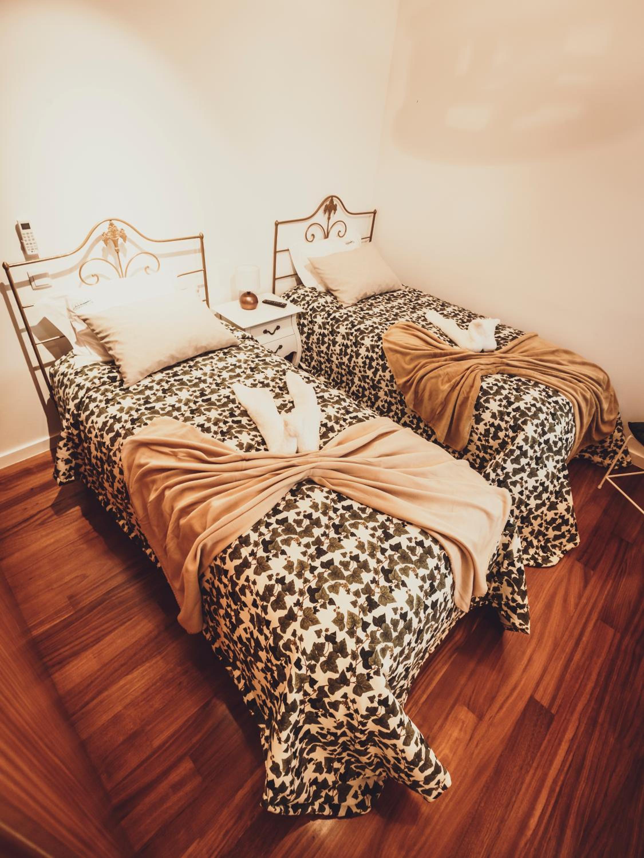 Twin Room photo 1