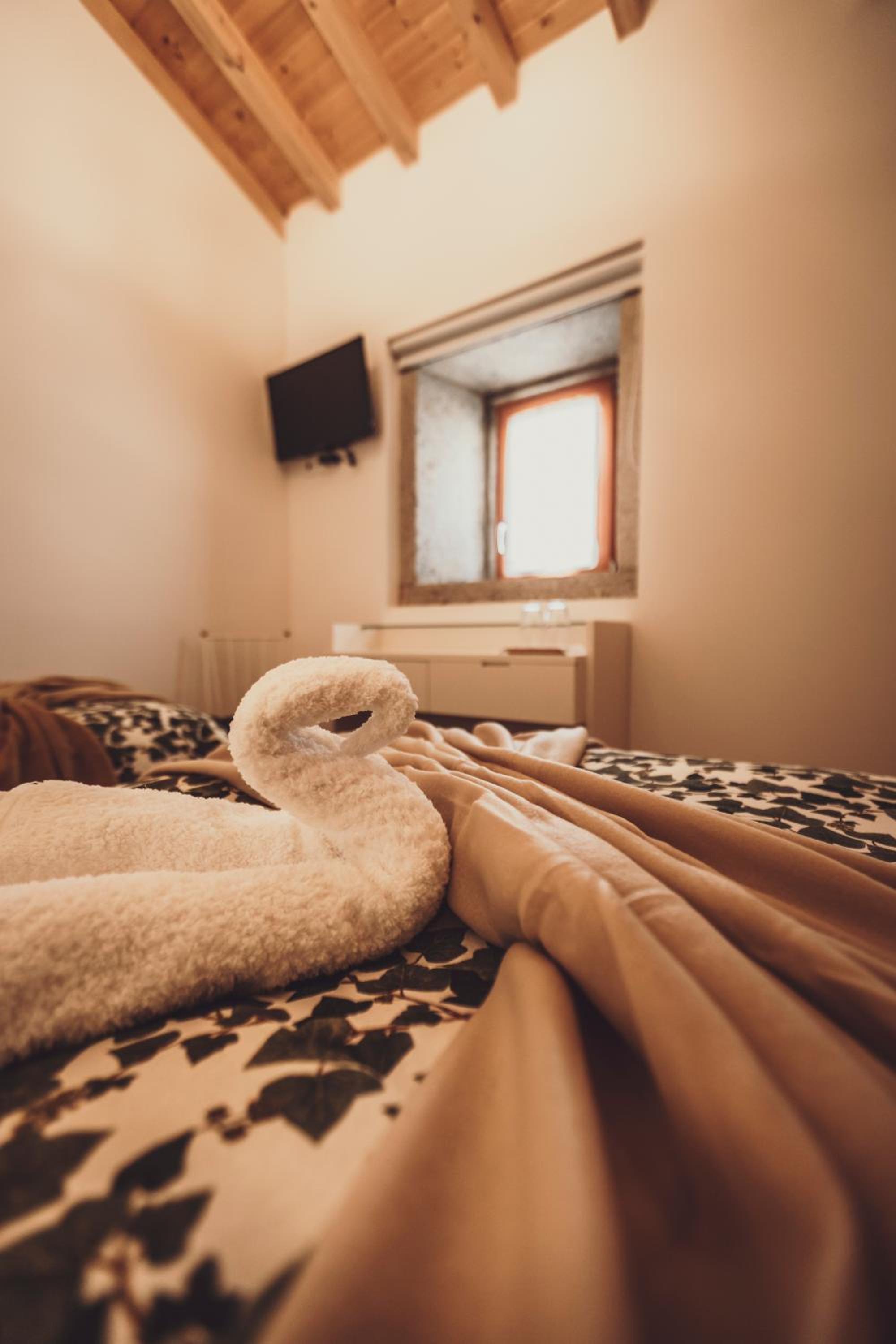 Twin Room photo 2