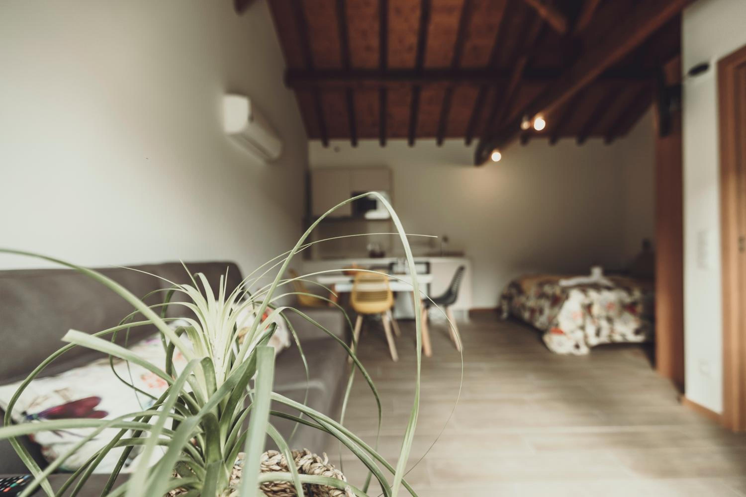 King Studio with Sofa Bed photo 3
