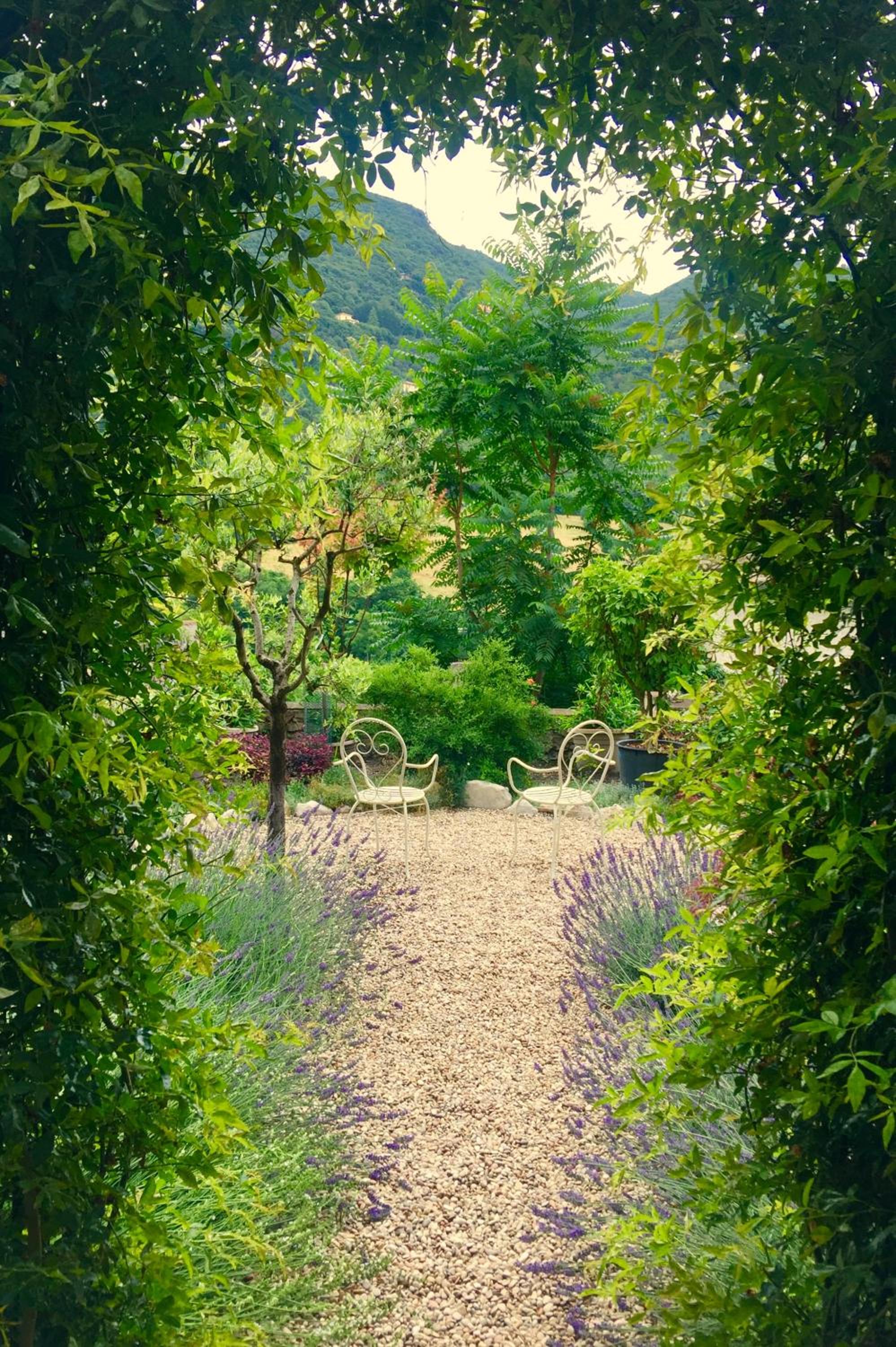 Deluxe Room With Garden View photo 3