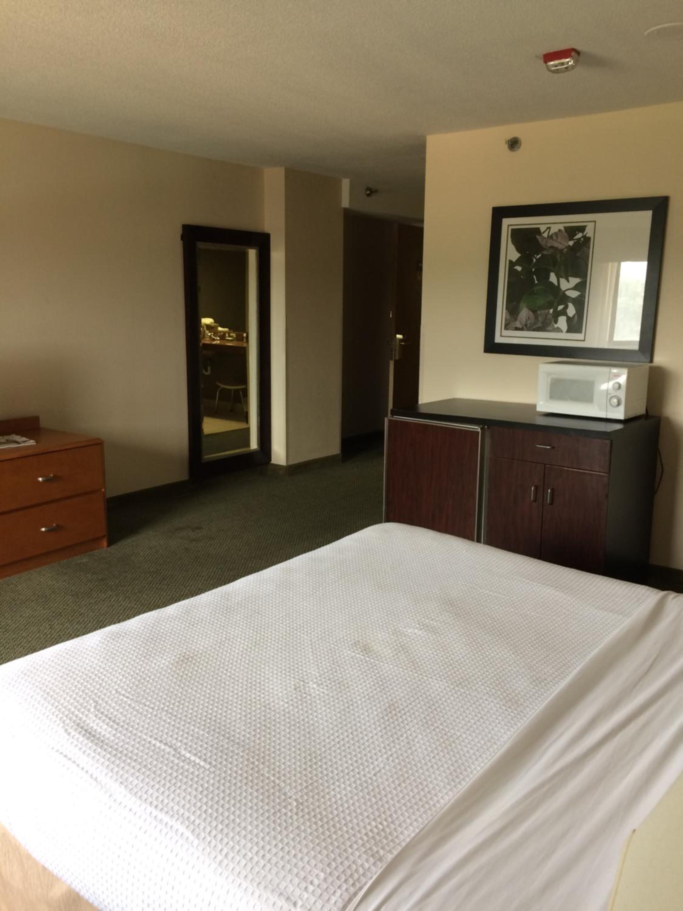 King Suite photo 1