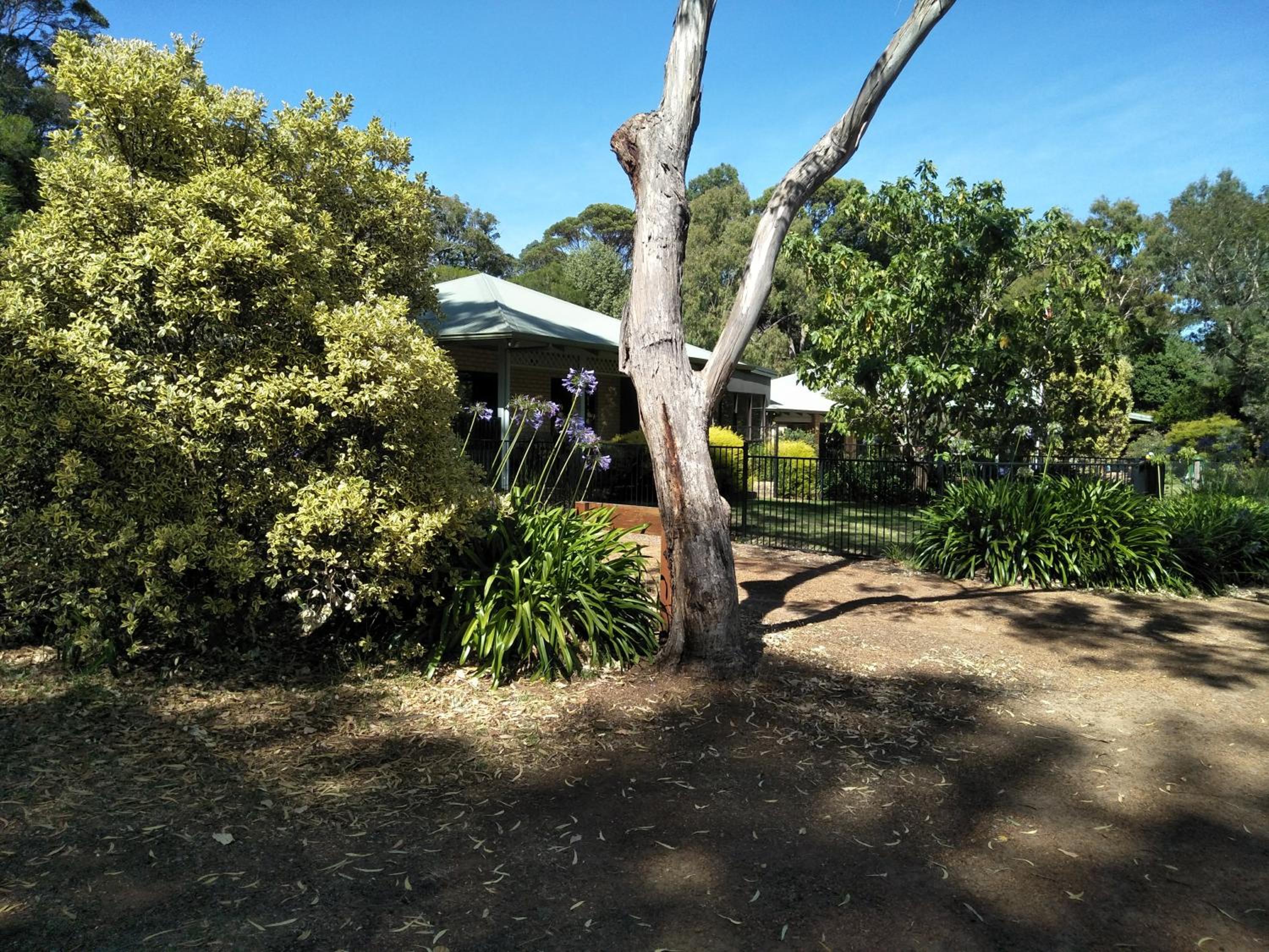 Rural Studio photo 3