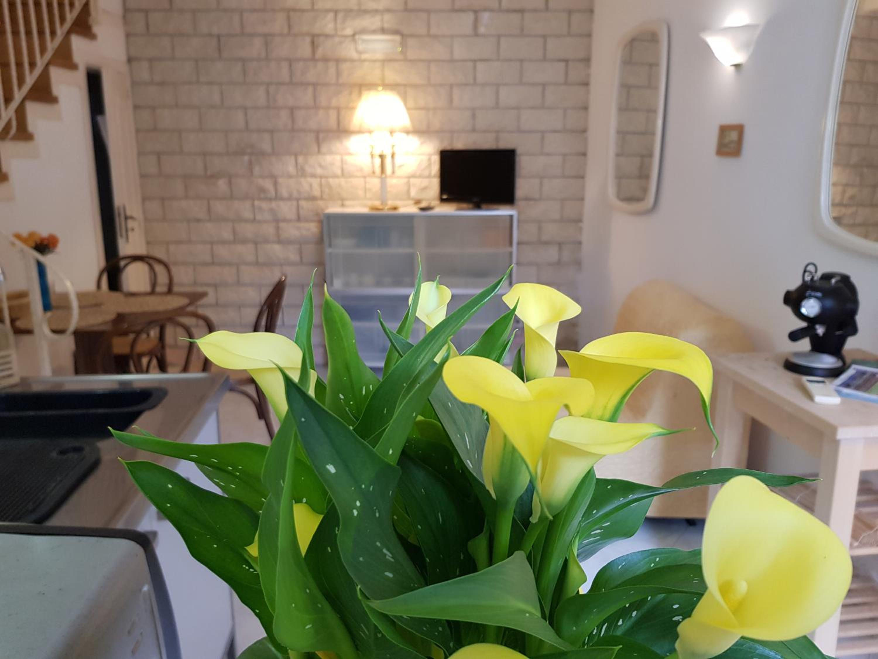 Economy One-Bedroom Apartment - Split Level