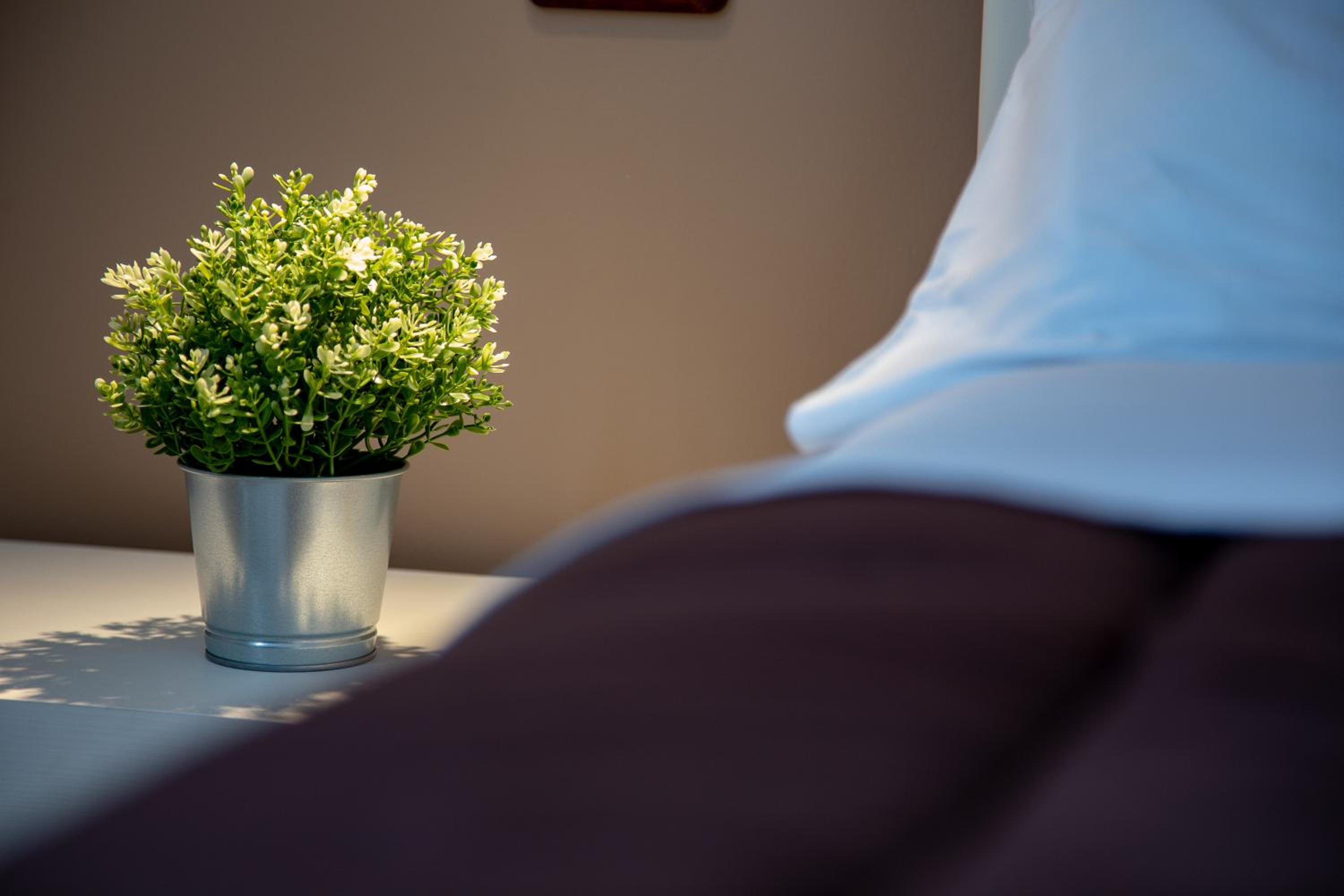 Double Room - Photo 4