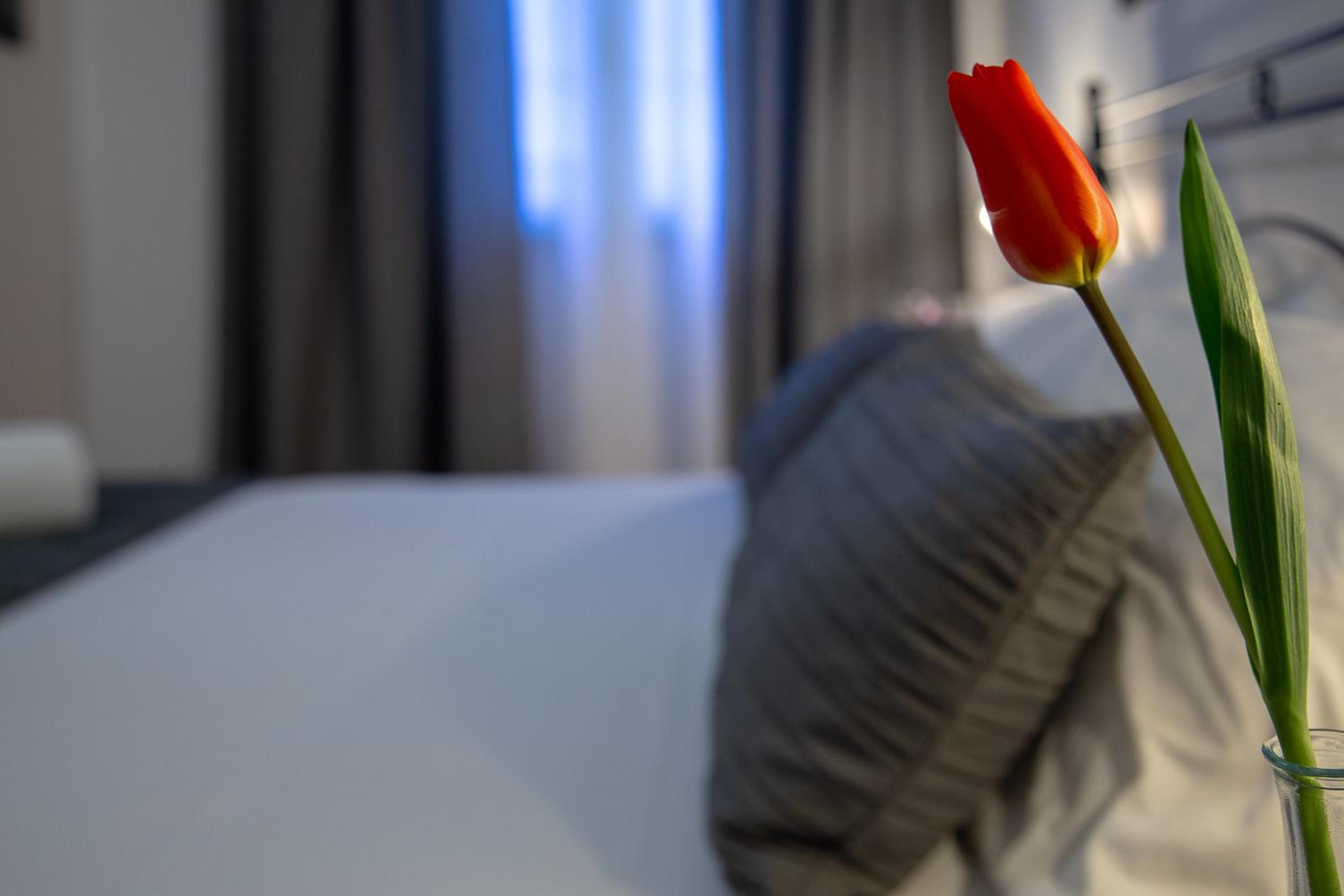 Standard Double Room - Photo 6