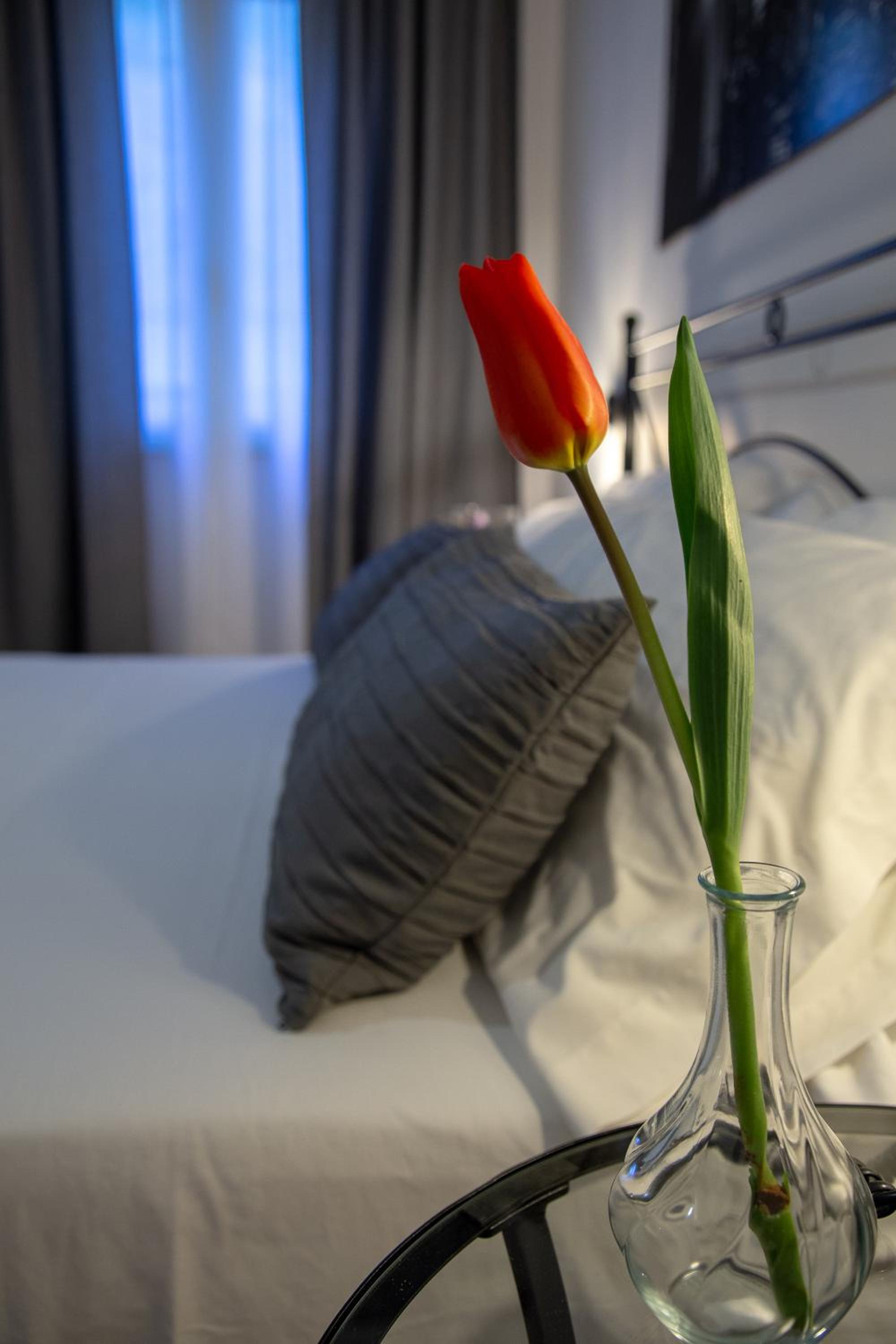 Standard Double Room - Photo 11