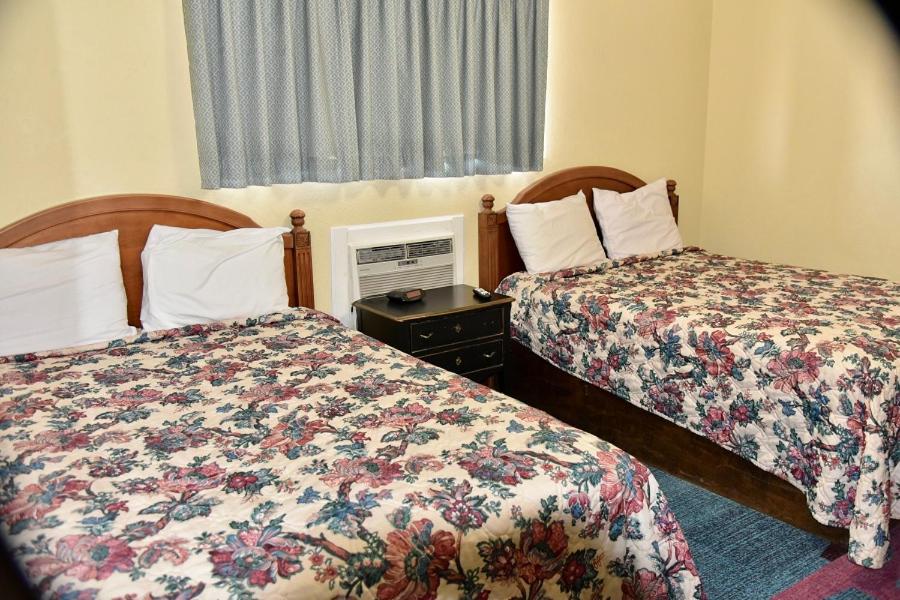 One-Bedroom Suite - Photo 5