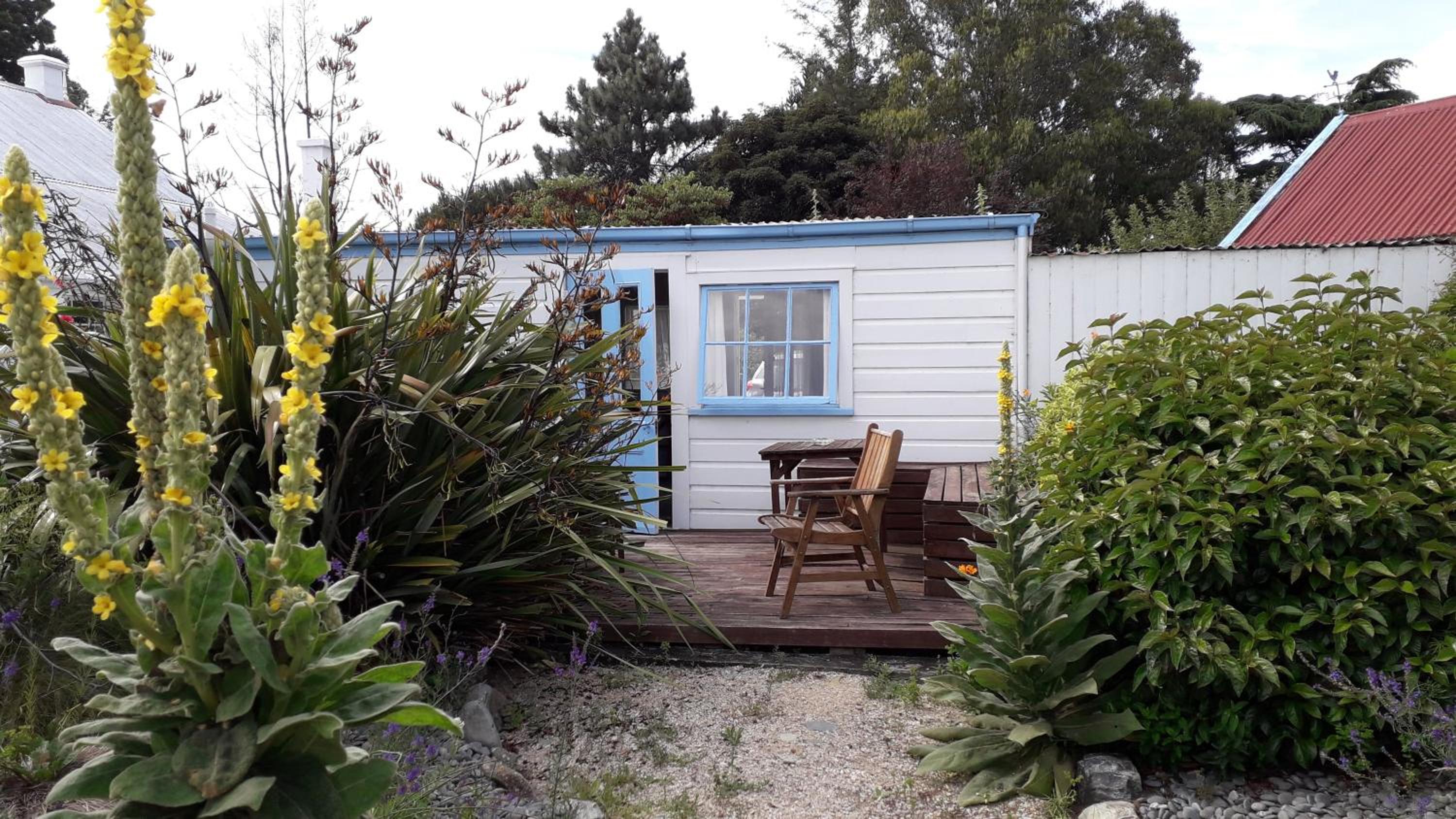 Studio with Terrace - Photo 3