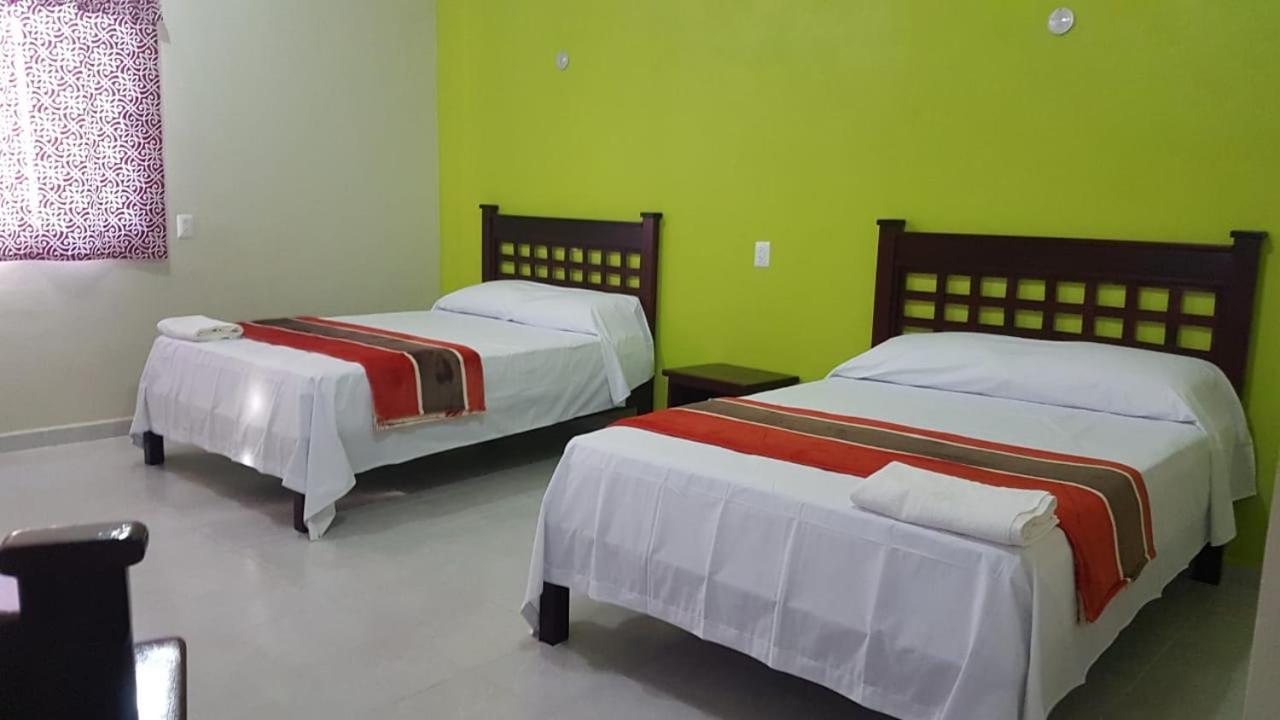 Twin Room photo 2