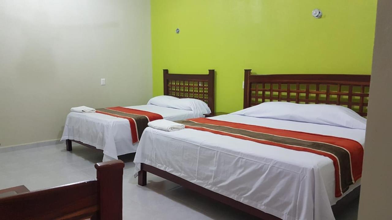 Double Room with Two Double Beds photo 3