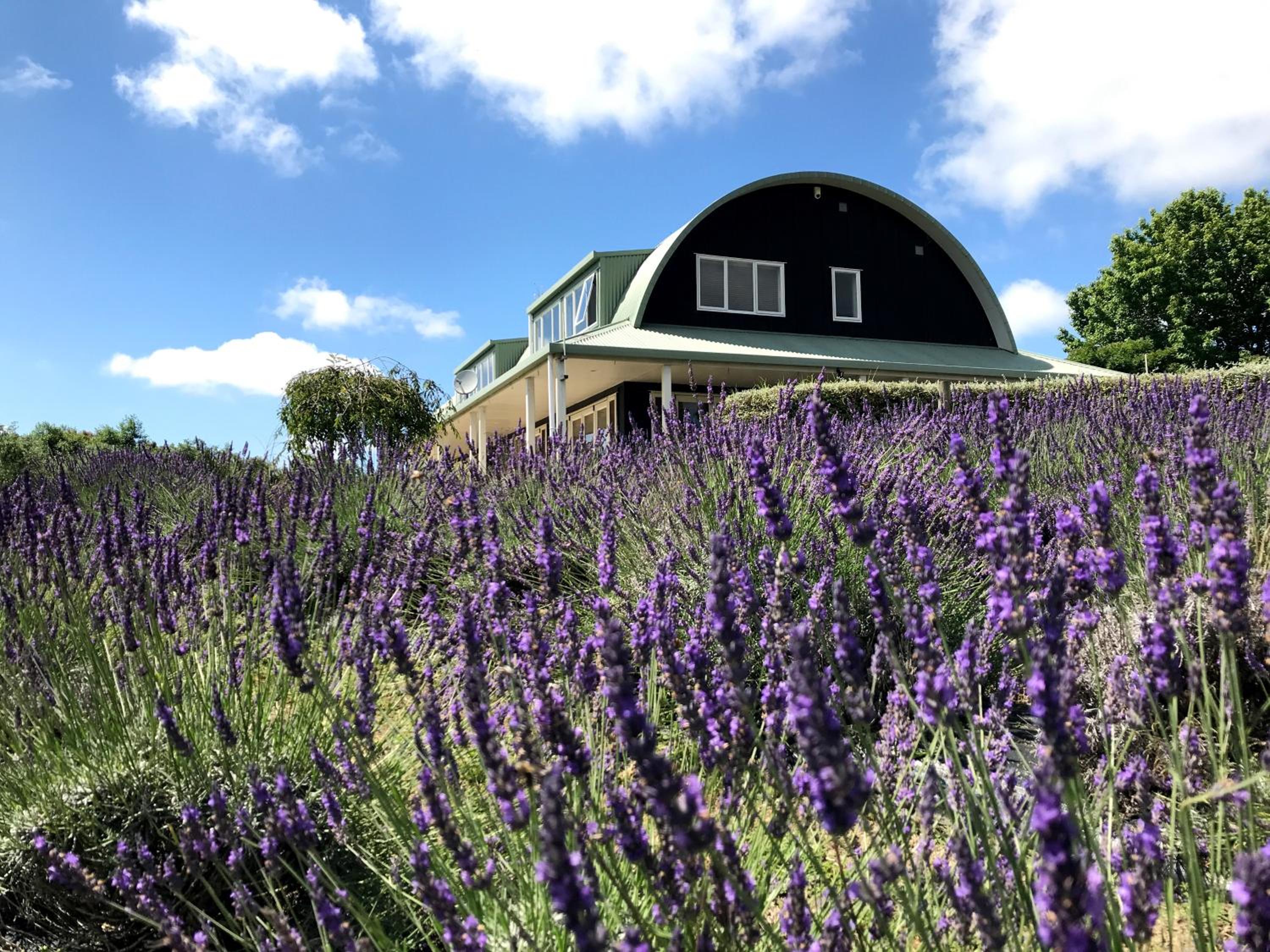 Villa with Garden View photo 2