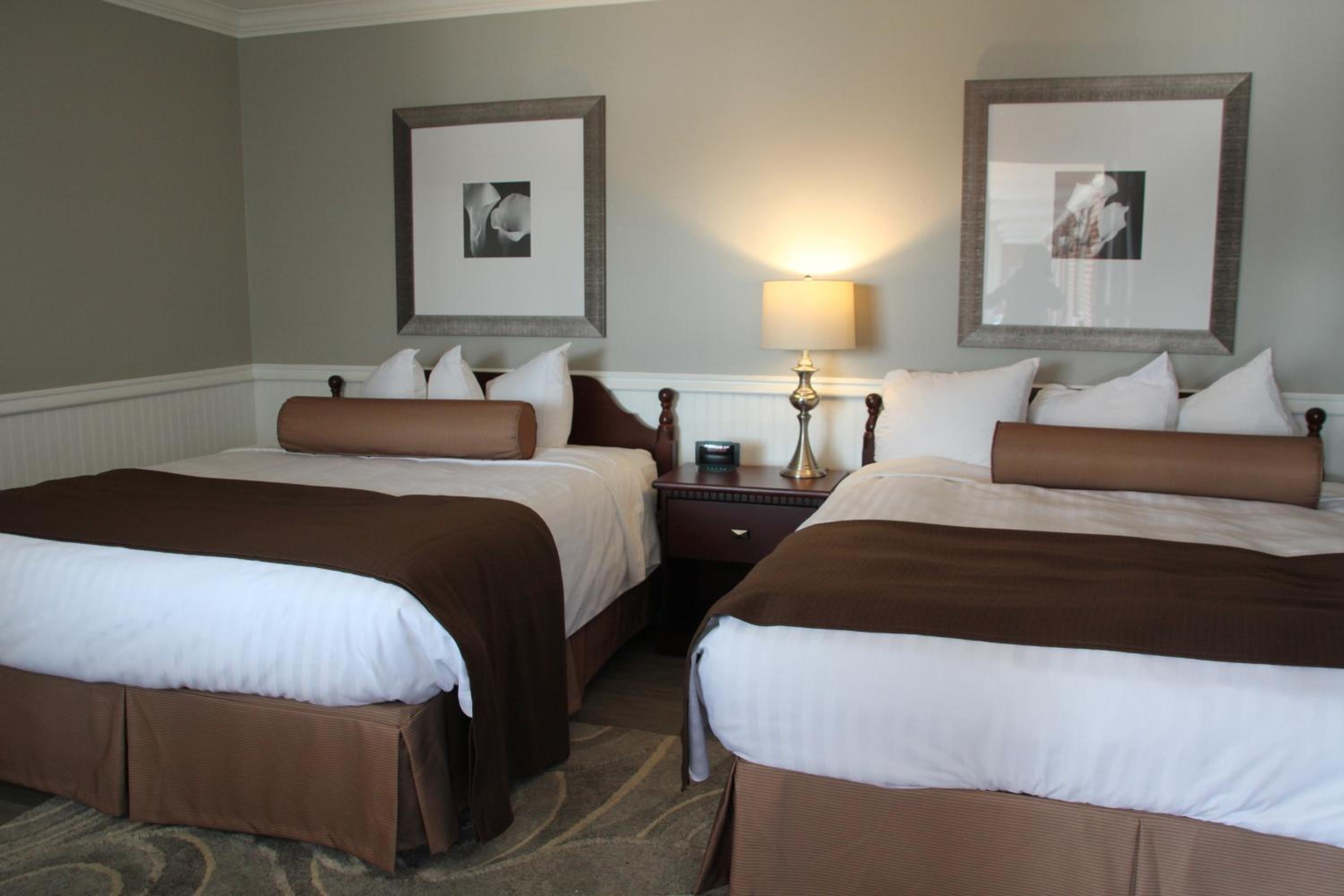 Double Room with Two Double Beds photo 2