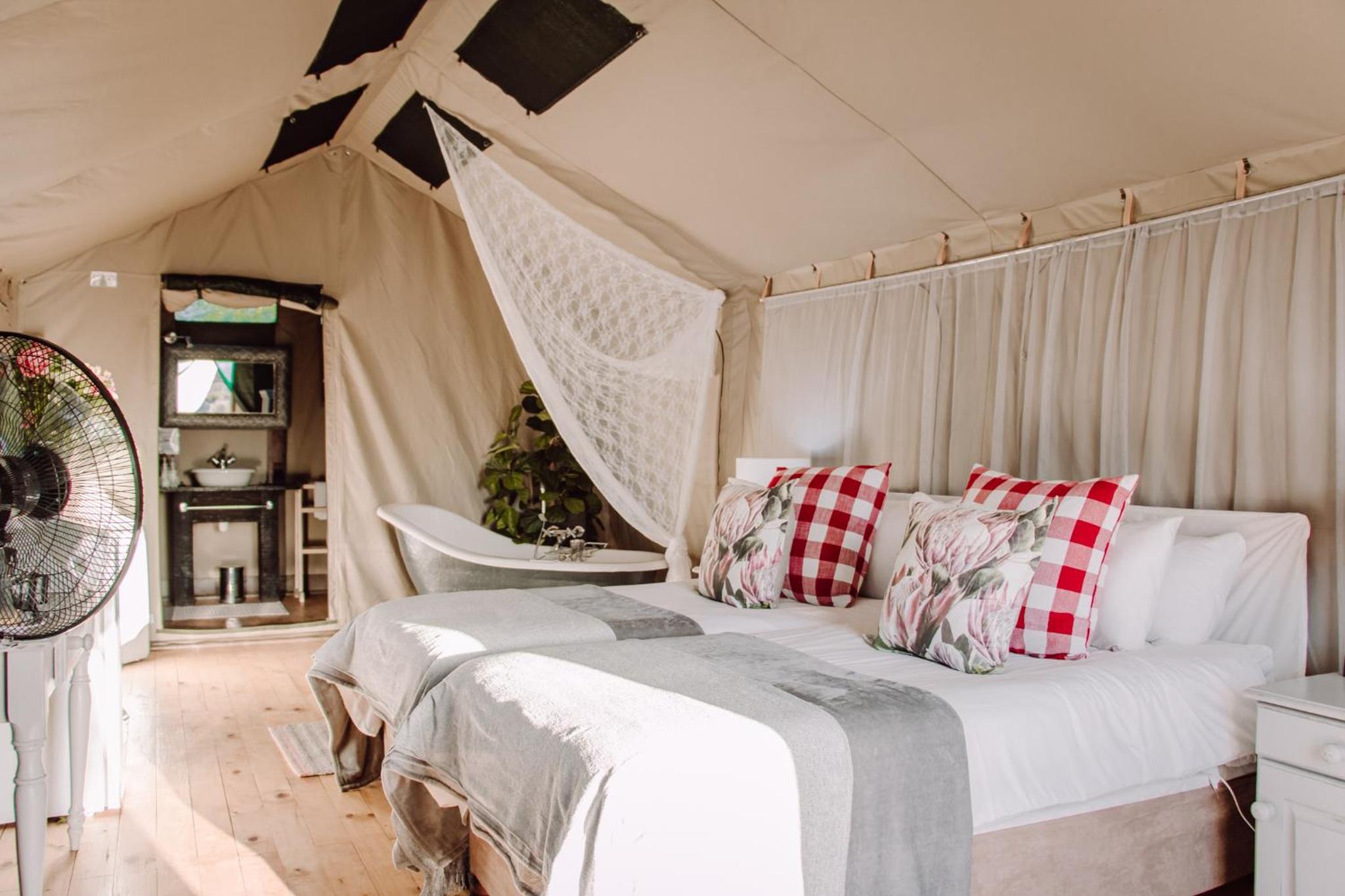 Deluxe Double or Twin Room with Mountain View photo 1