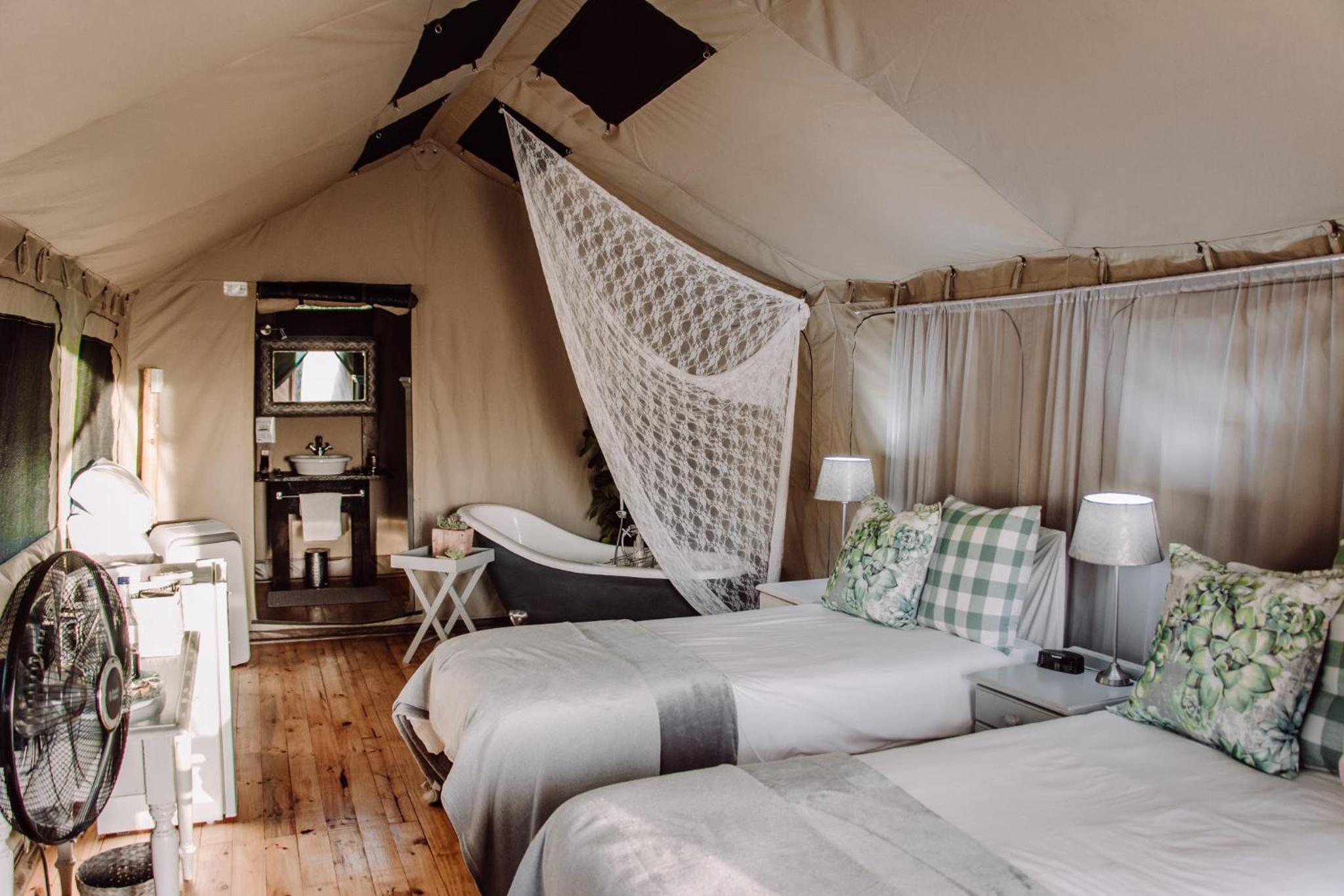 Deluxe Double or Twin Room with Mountain View photo 1