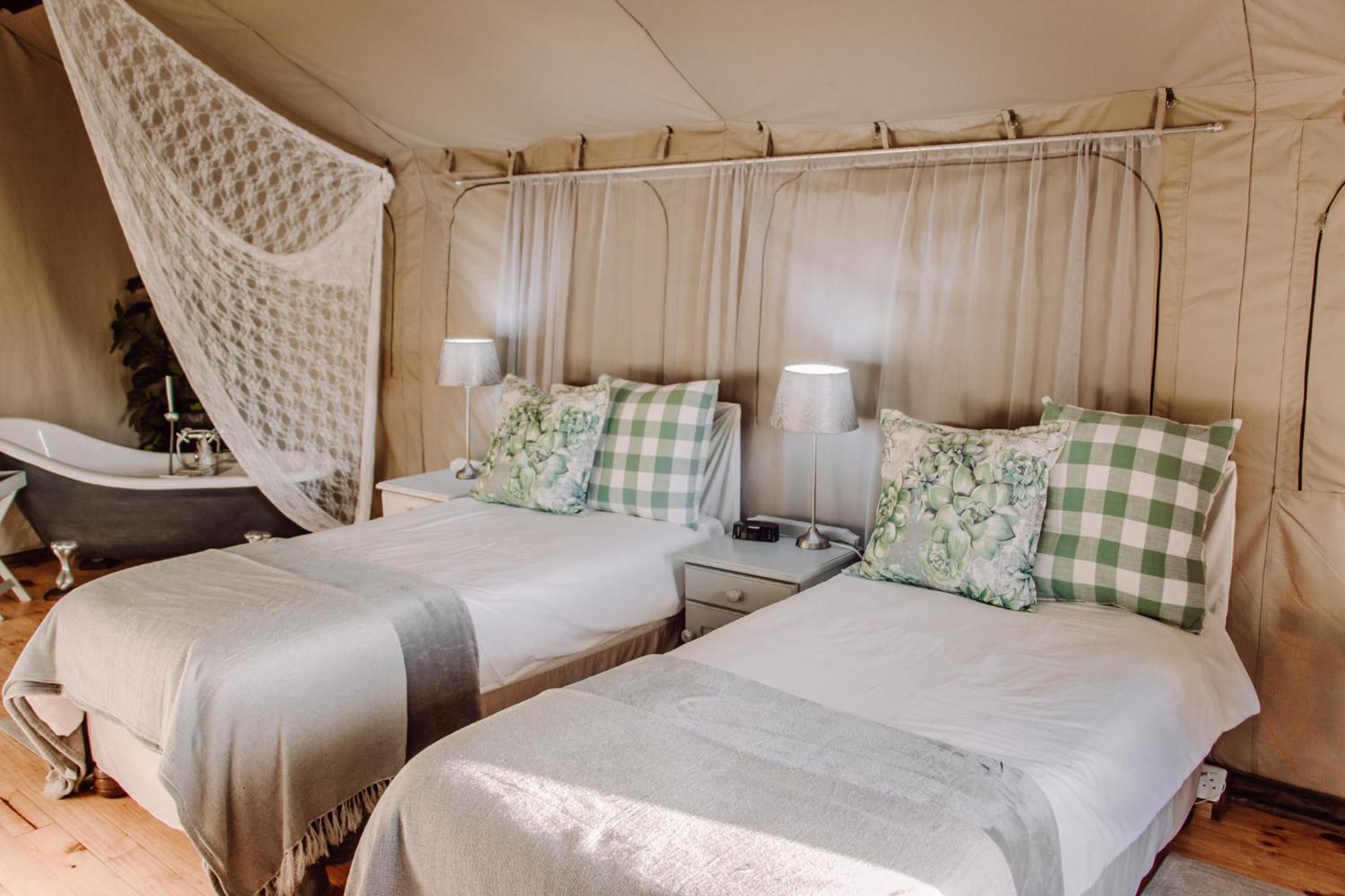 Deluxe Double or Twin Room with Mountain View photo 2