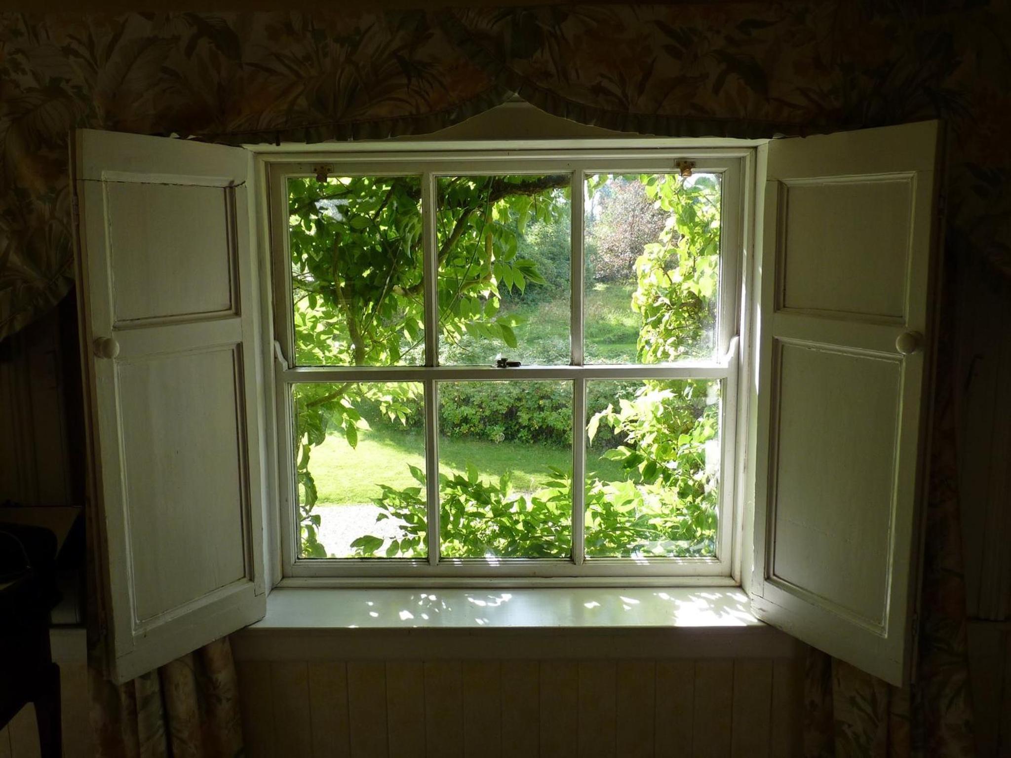 Single Room with Garden View photo 3