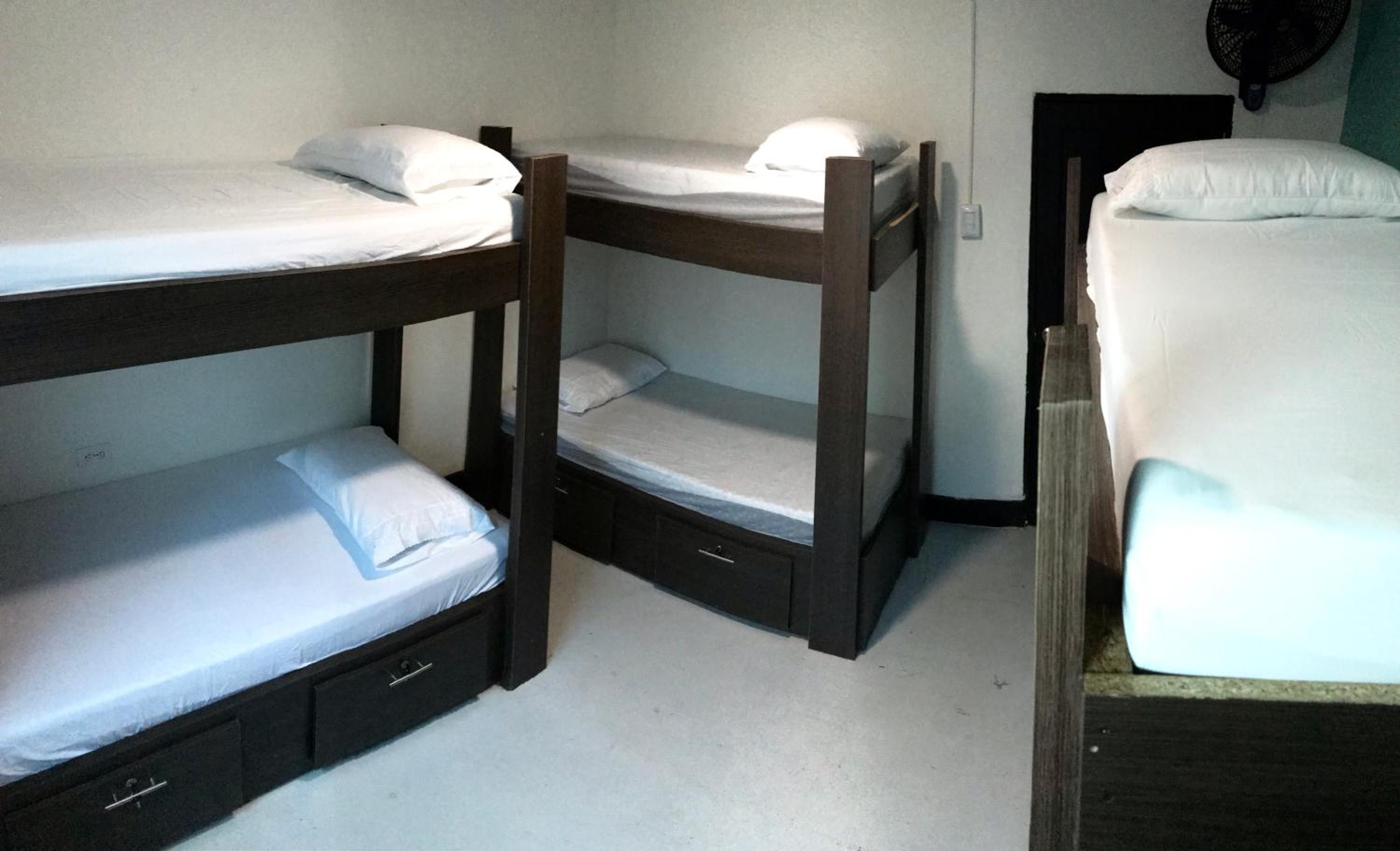 Single Bed in Mixed Dormitory Room photo 2