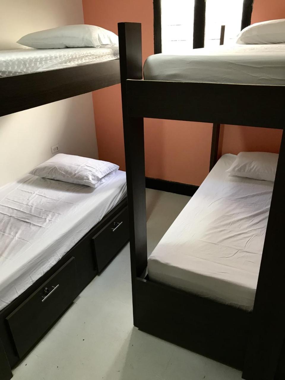 Single Bed in Mixed Dormitory Room photo 1