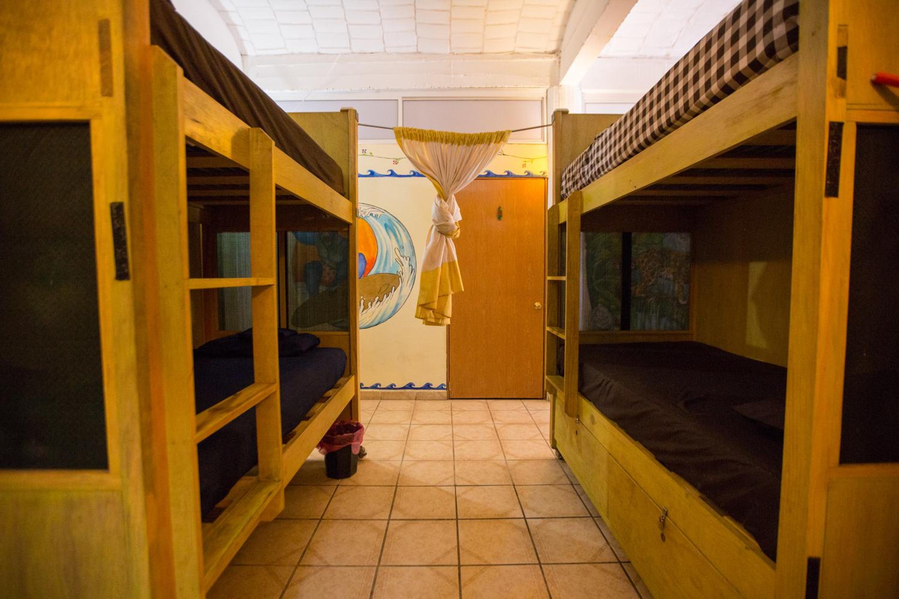 Single Bed in Mixed Dormitory Room photo 2