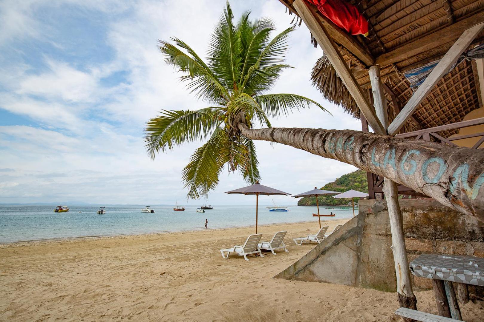 Apartment with Terrace photo 3