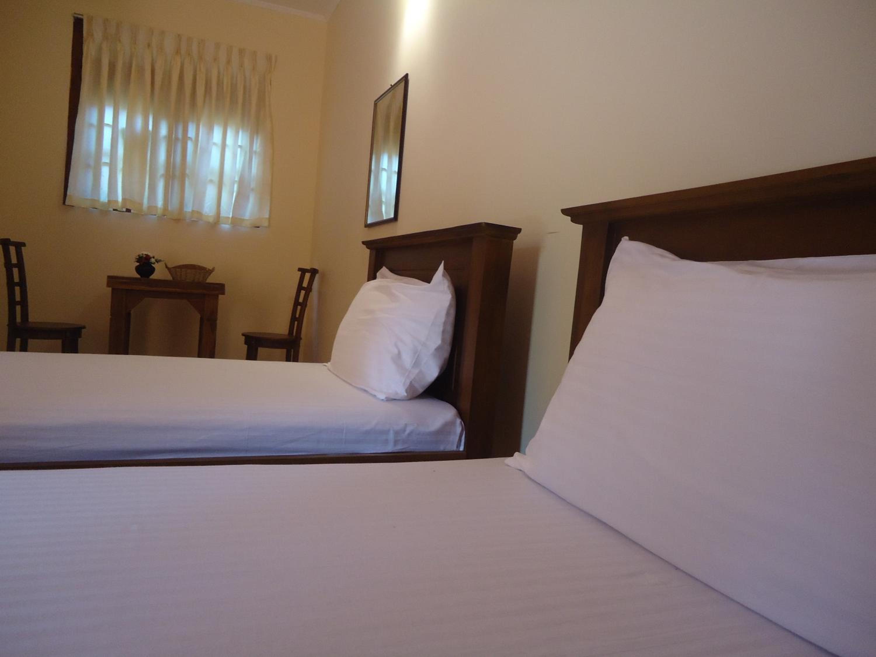 Twin Room photo 3