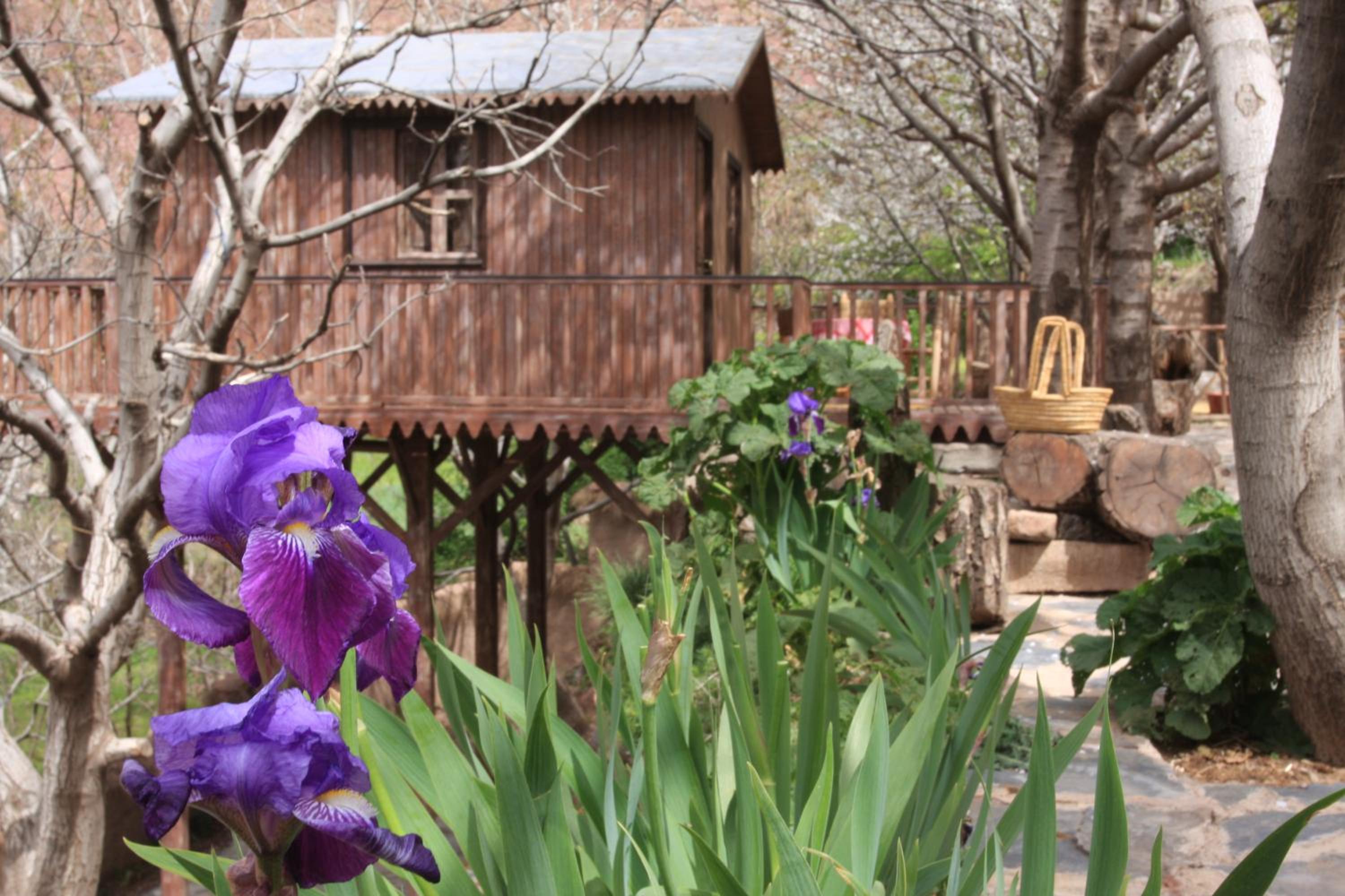 Superior Chalet - Photo 3