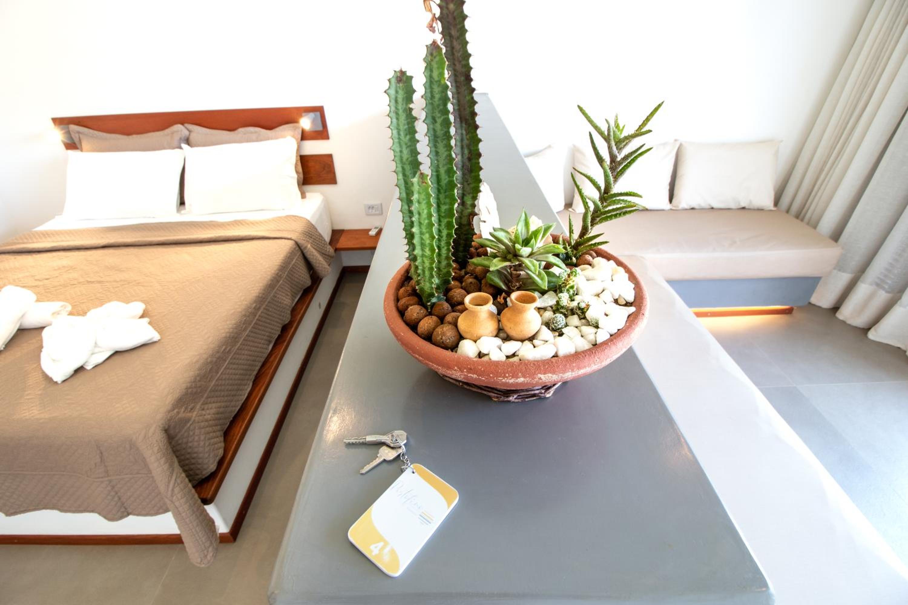 Standard Suite - Photo 4
