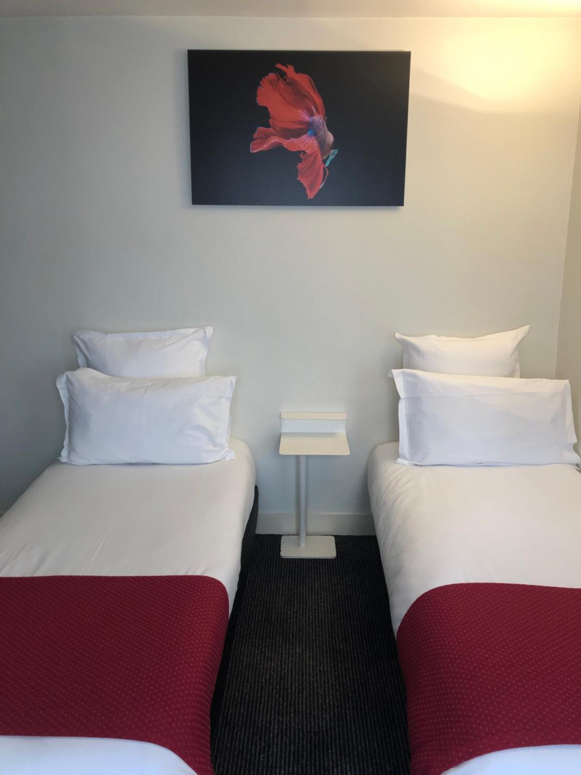Standard Twin Room photo 2