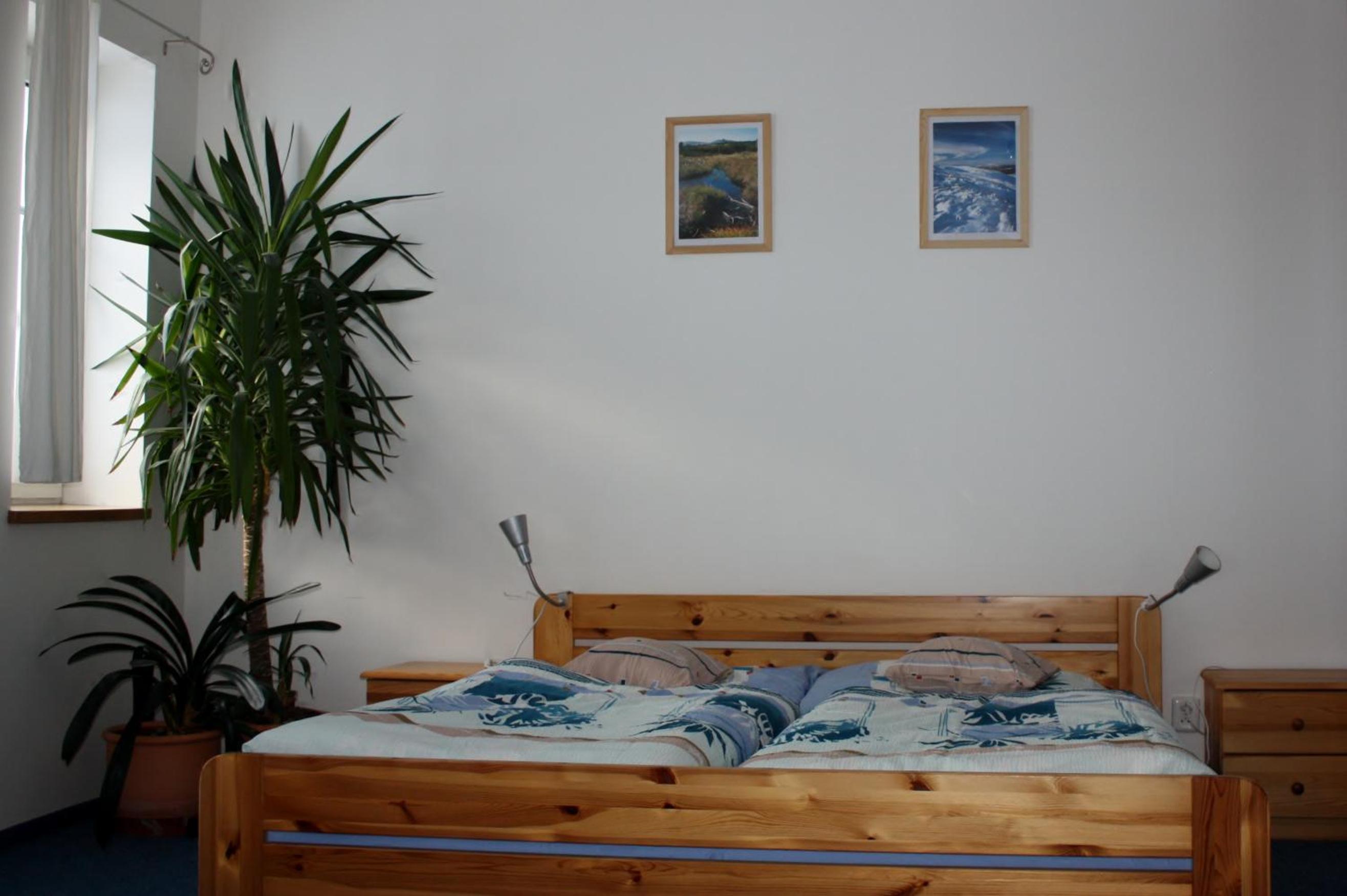 One-Bedroom Apartment (4 Adults) photo 1