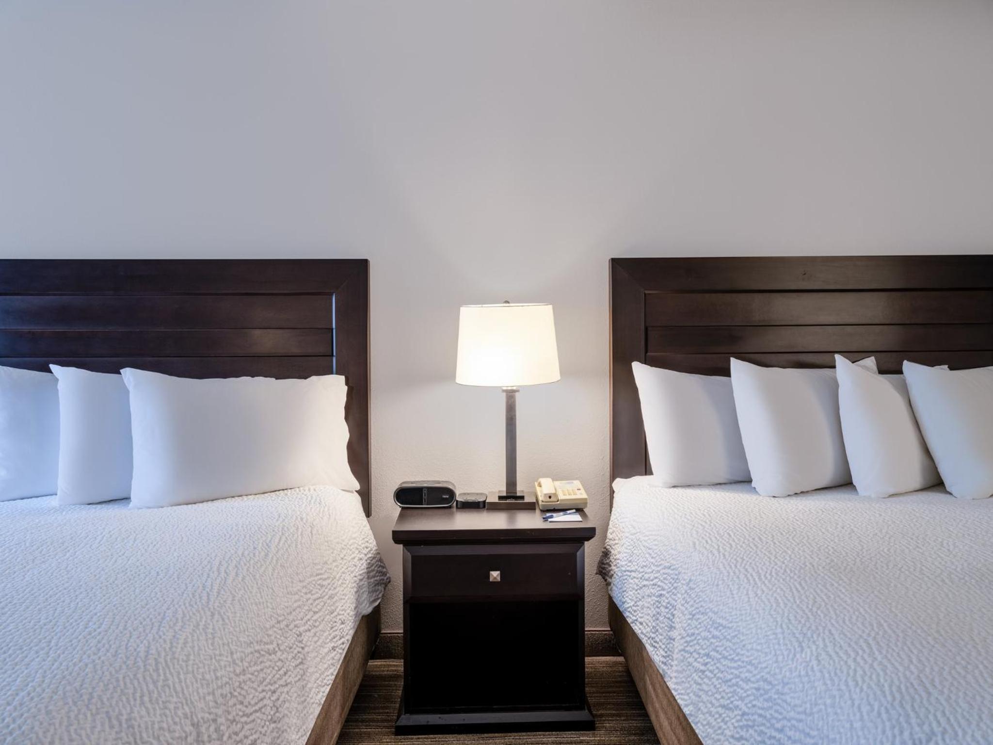 Standard Queen Room with Two Queen Beds - Hypoallergenic