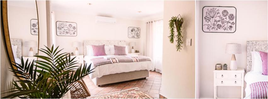 Standard Suite - Photo 5