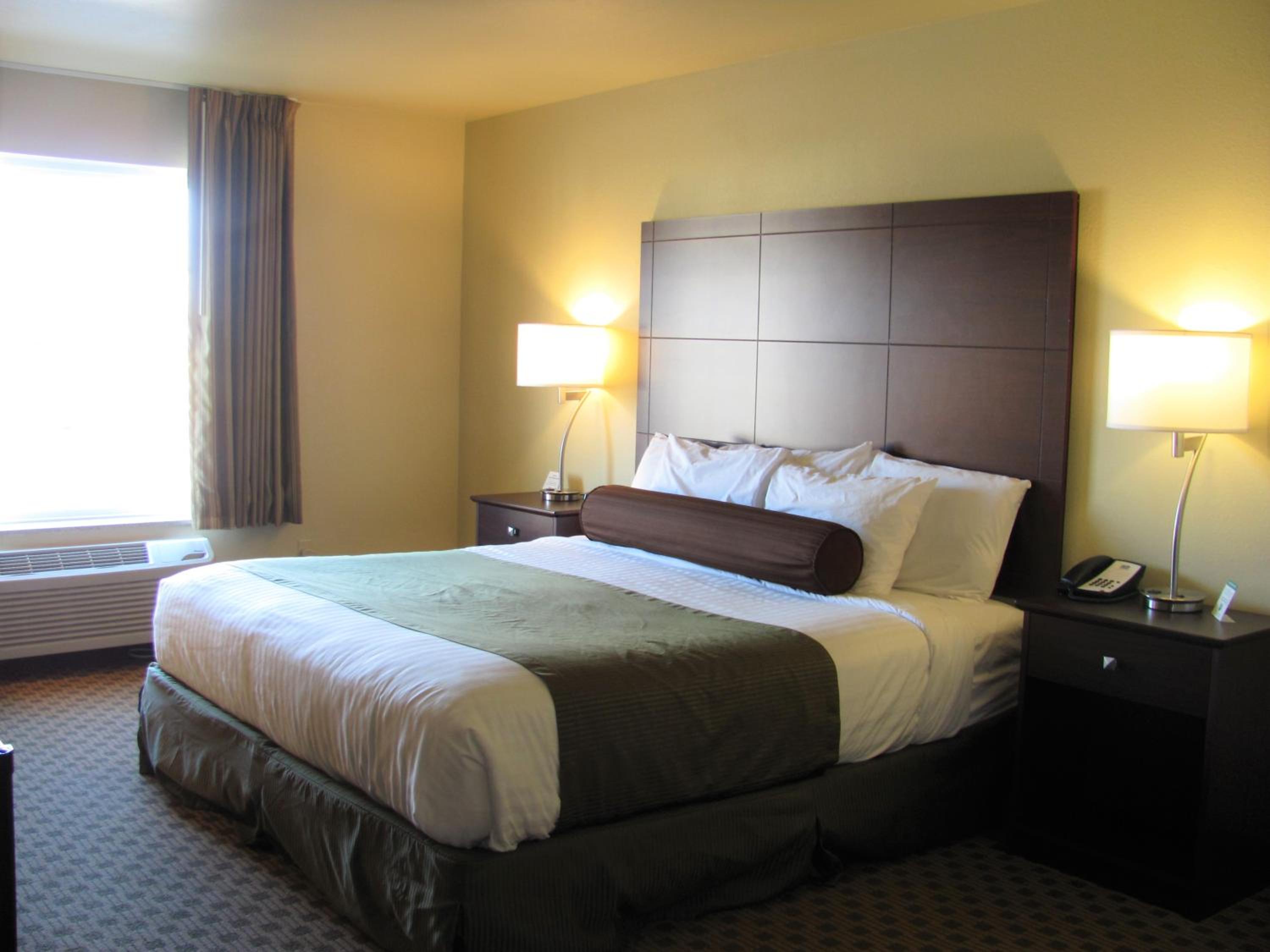 King Room - Disability Access photo 1