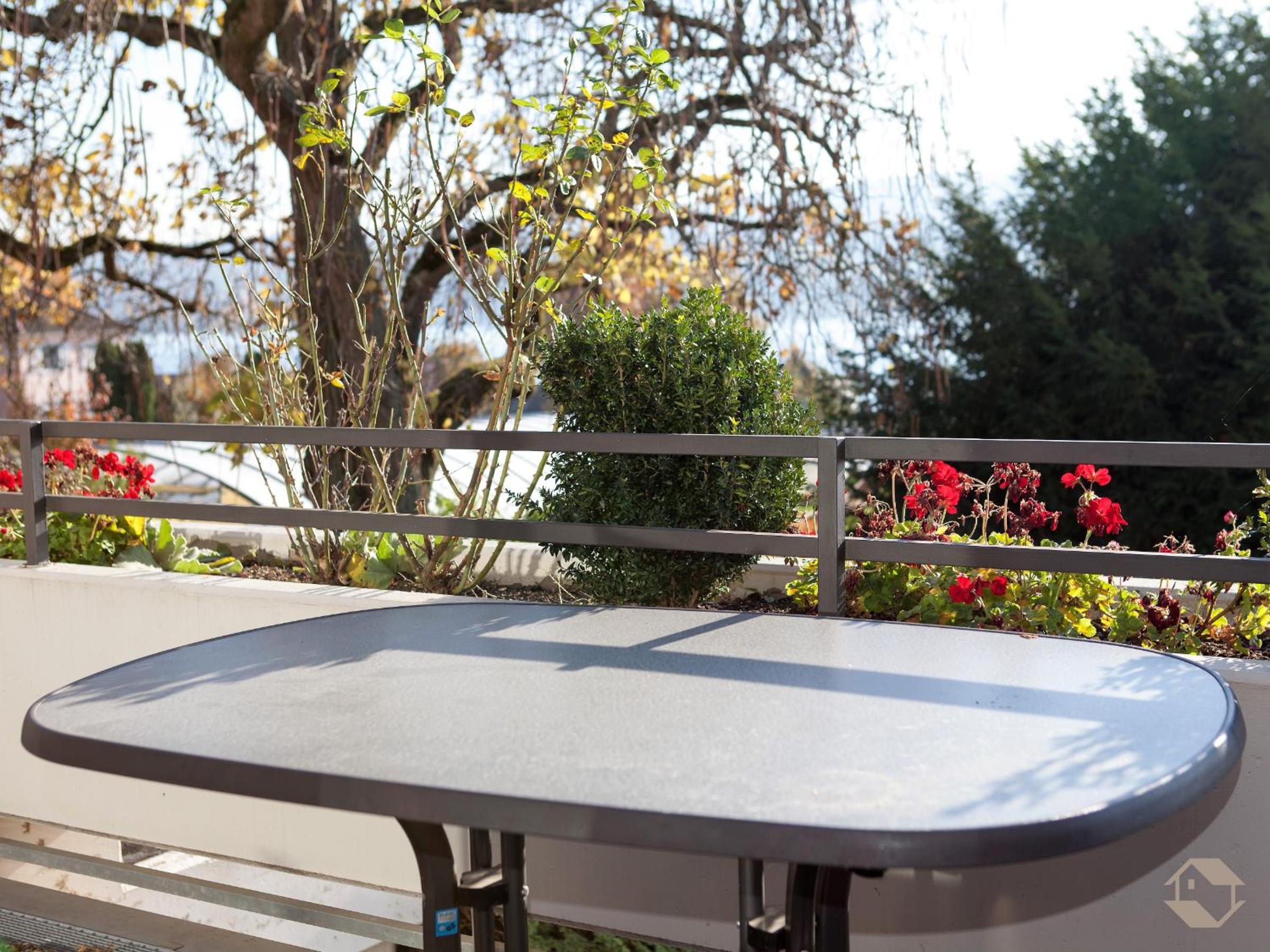Superior One-Bedroom Apartment with Balcony photo 2