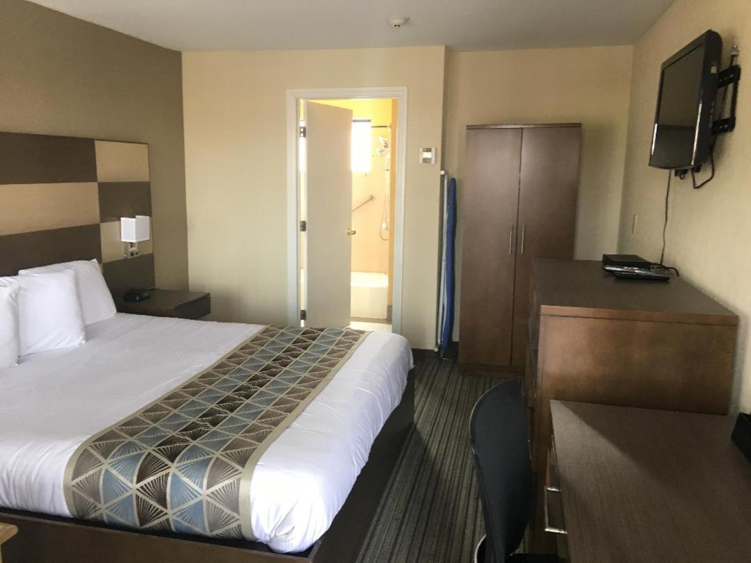 Single Room - Disability Access photo 3