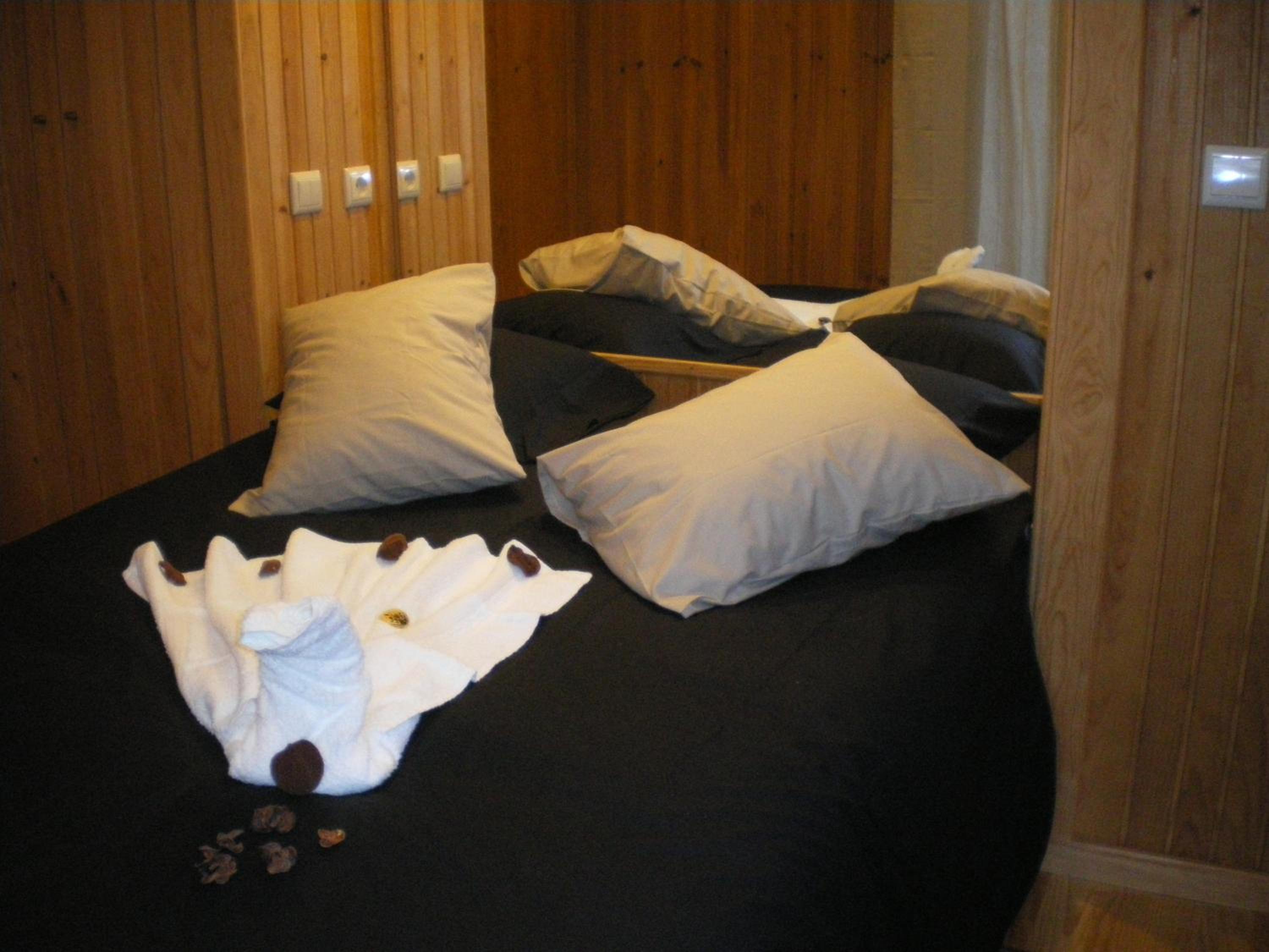 Bungalow (2 Adults) photo 1