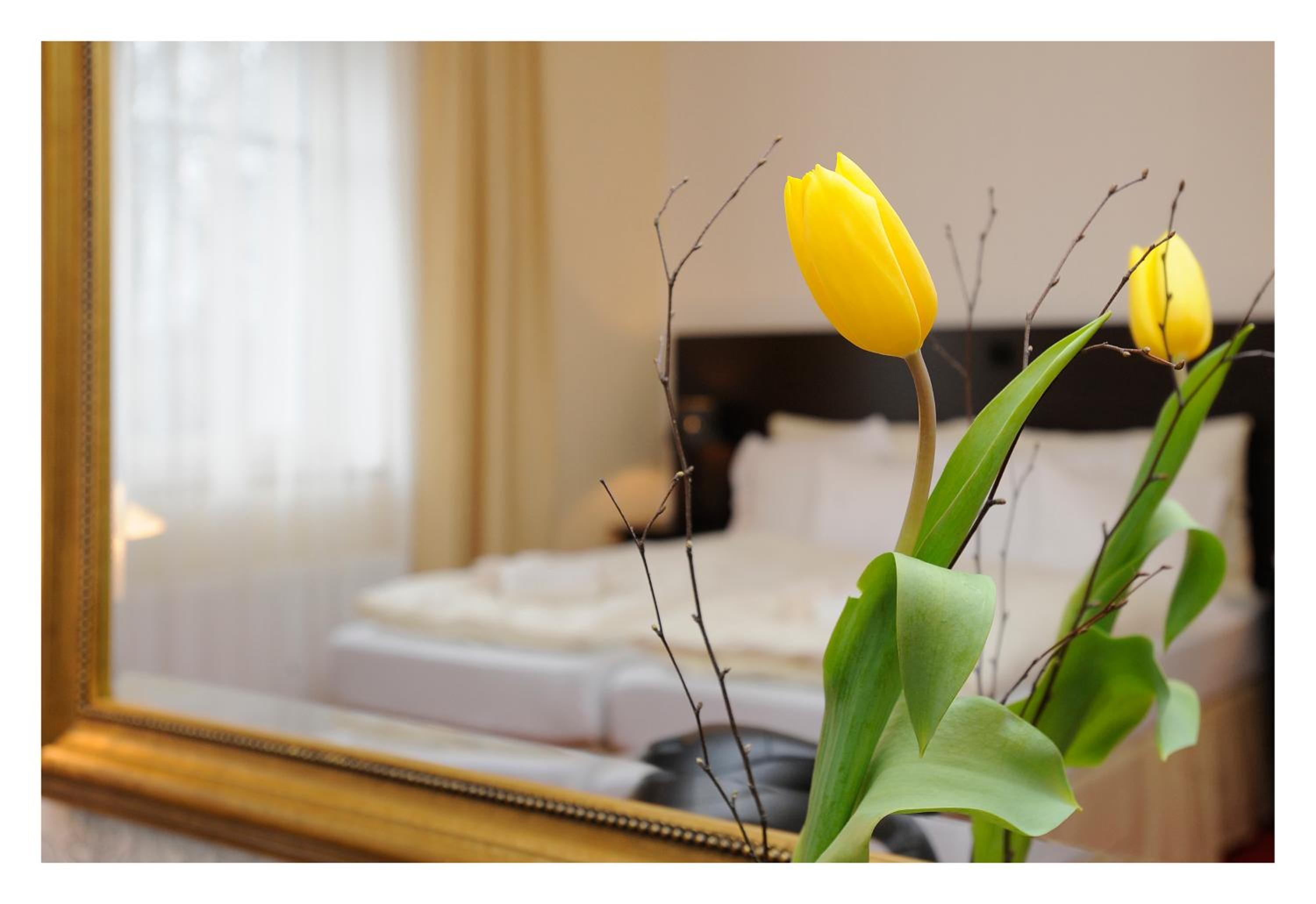 Superior Triple Room - Photo 6