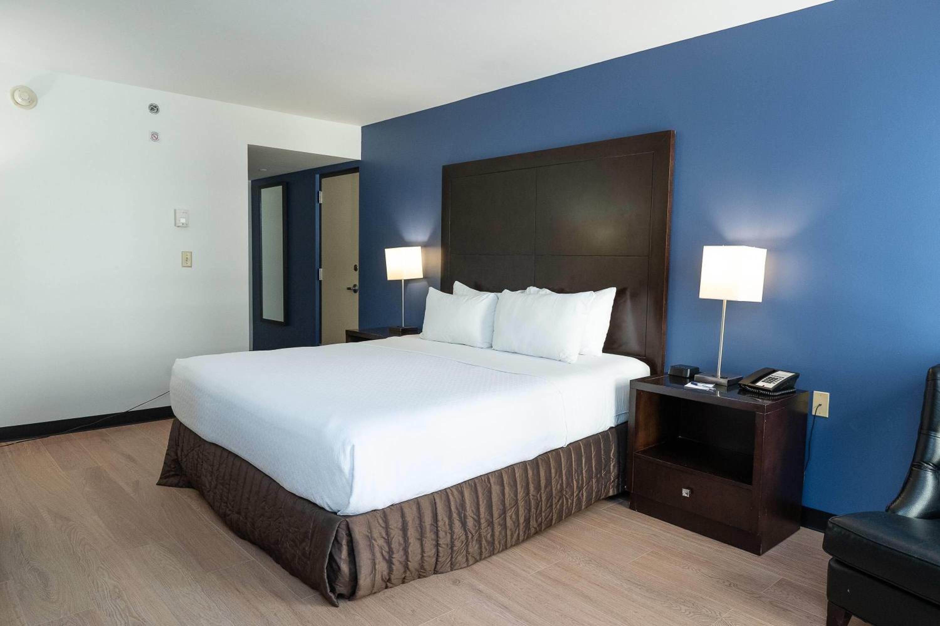 One-Bedroom King Suite - Non-Smoking
